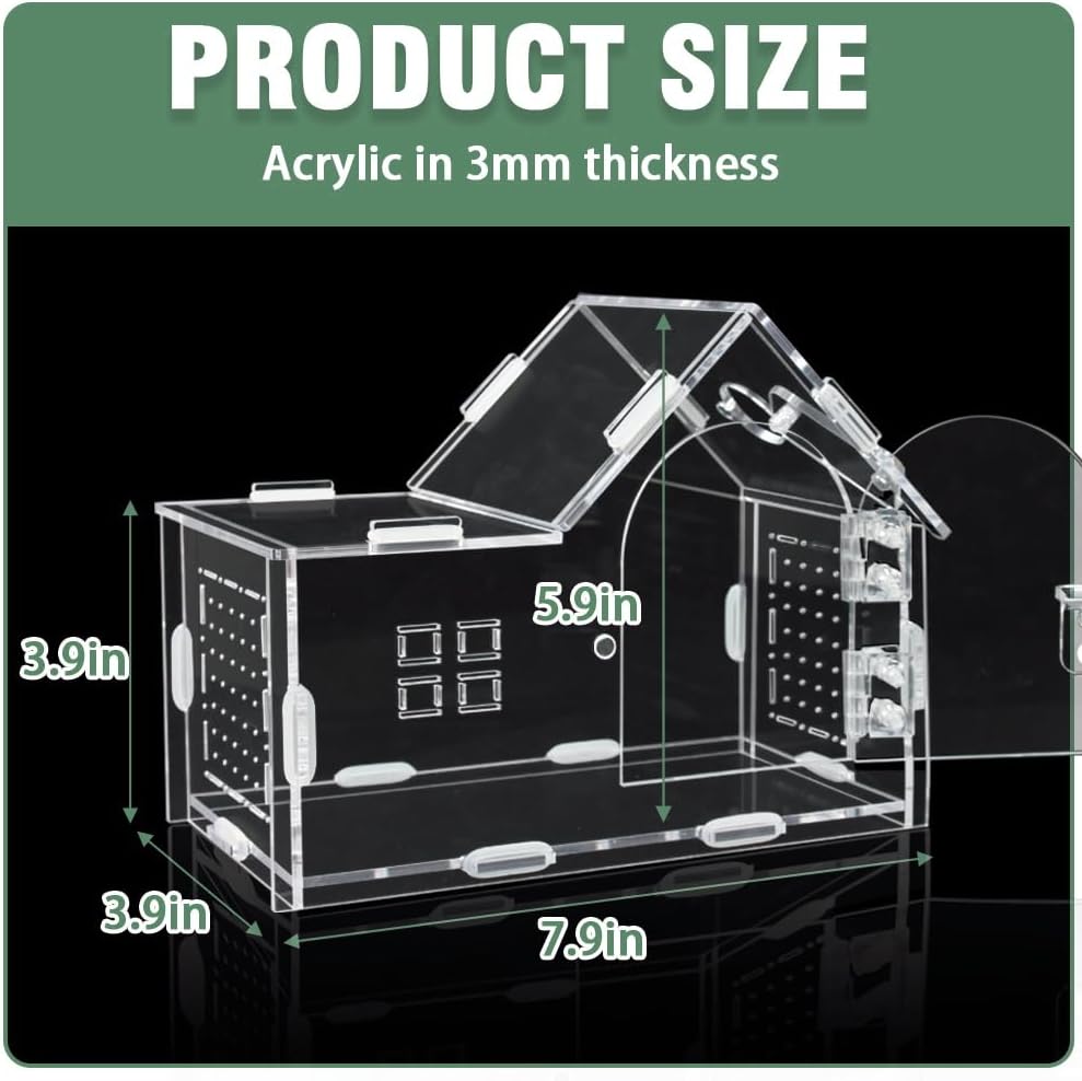 Acrylic Jumping Spider Enclosure - Versatile Reptile Enclosure with One-Click Magnetic Closure, Perfect for Tarantula, Gecko, Chameleon, Beetle, Mantis, and Hermit Crab
