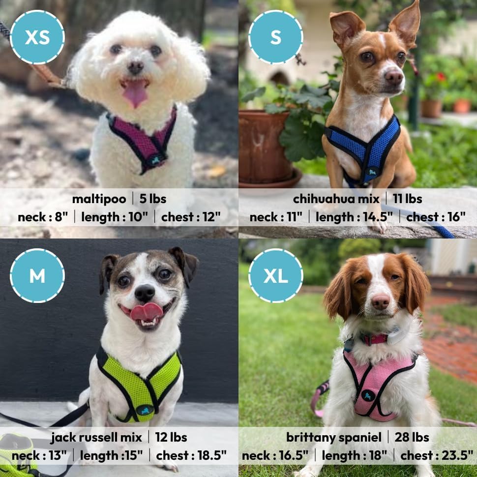 Gooby Comfort X Step-in Lite Harness, Choke-Free, Flamingo Pink - Image 5