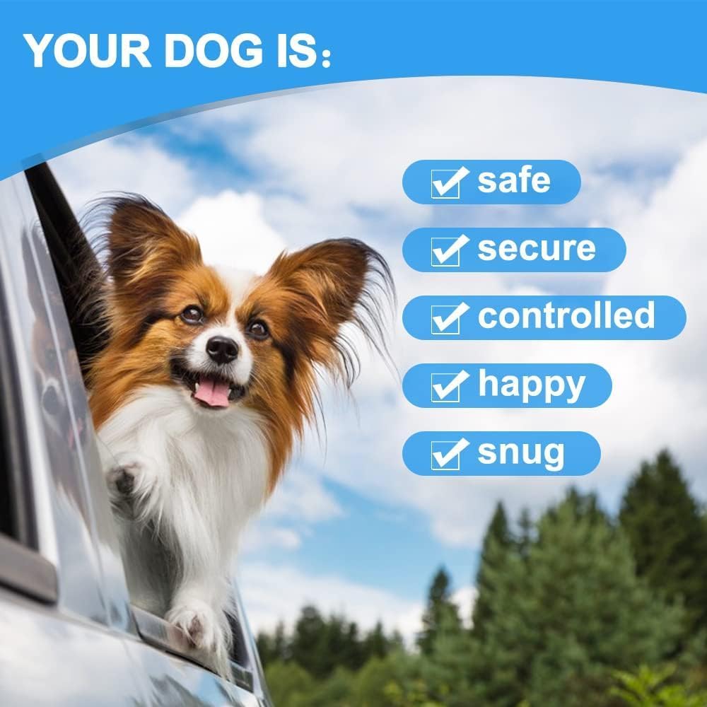 Dog Seat Belt Harness for Car,Dog Seatbelt of Coated Wire Leash Safety Restraint,No Chew Tether Cable Vehicle Dogs Accessories,Double Clips & Latch (Orange, 16 inch/40 CM)