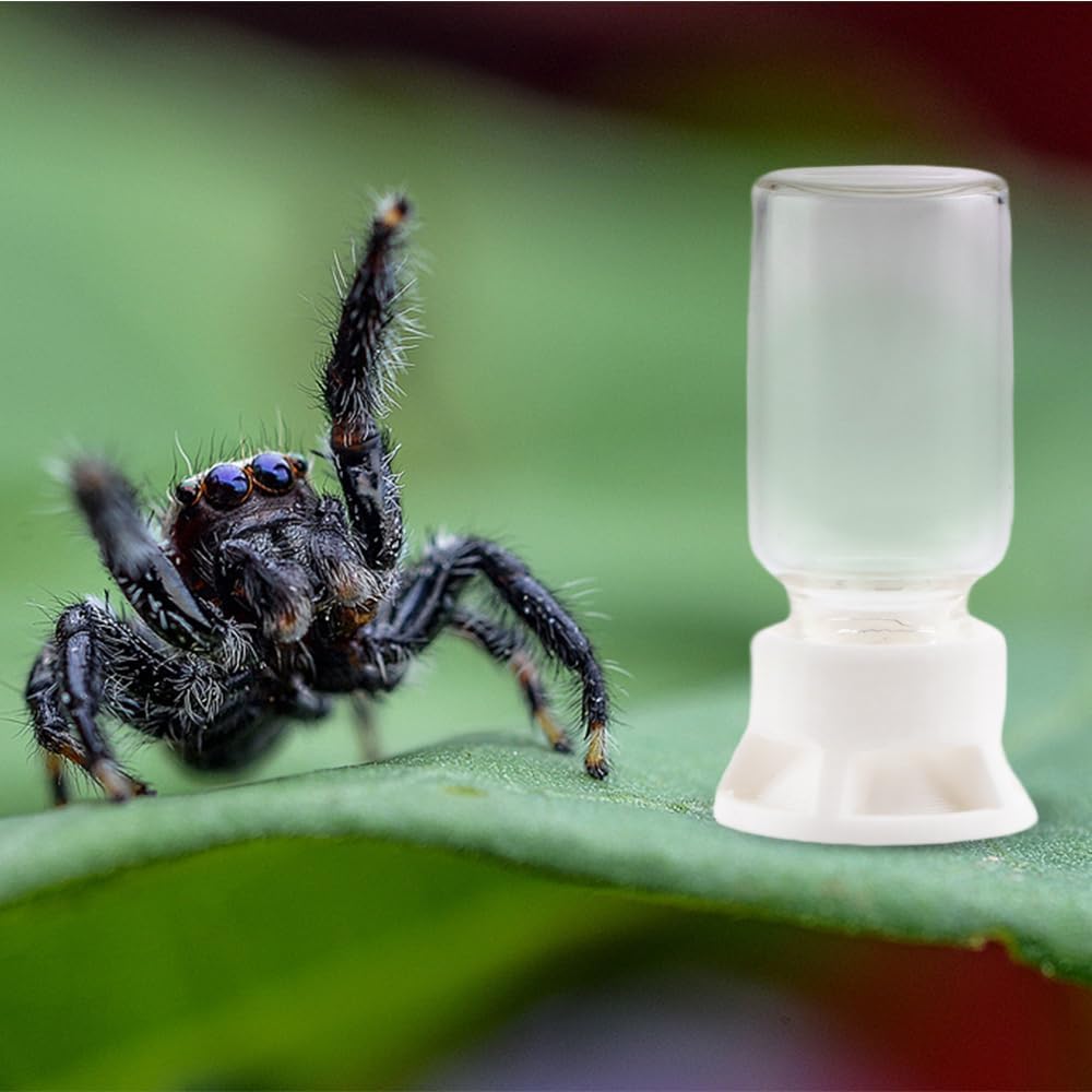 5 Pcs Jumping Spider Ant Water Feeder Bee Plastic Water Feeding Tarantula Water Bowl Spider Feeder (Capacity: 20ml)