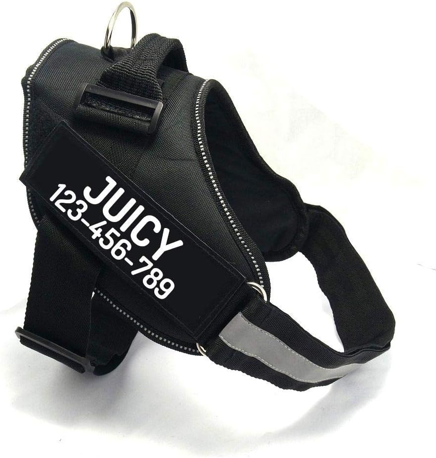 PawPawify Custom No Pull Dog Harness with Name and Phone Number, Heavy Duty Personalized Pet Vest to Prevent Tugging, Pulling, or Choking, Training and Walking (Black, M (20-40 LBS))