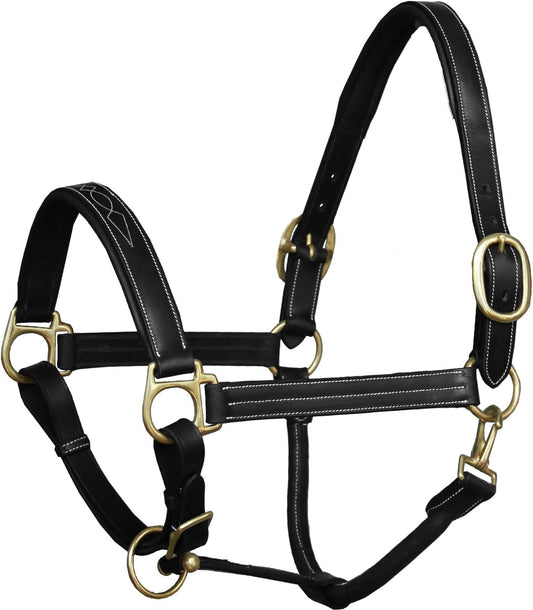 Exion Leather Horse Halter with Fancy Stitching | Black & Brown Padded Halter with Brass Hardware | Quick-Release Snap | Adjustable Leather Halter – Cob, Full, Over, Pony Sizes