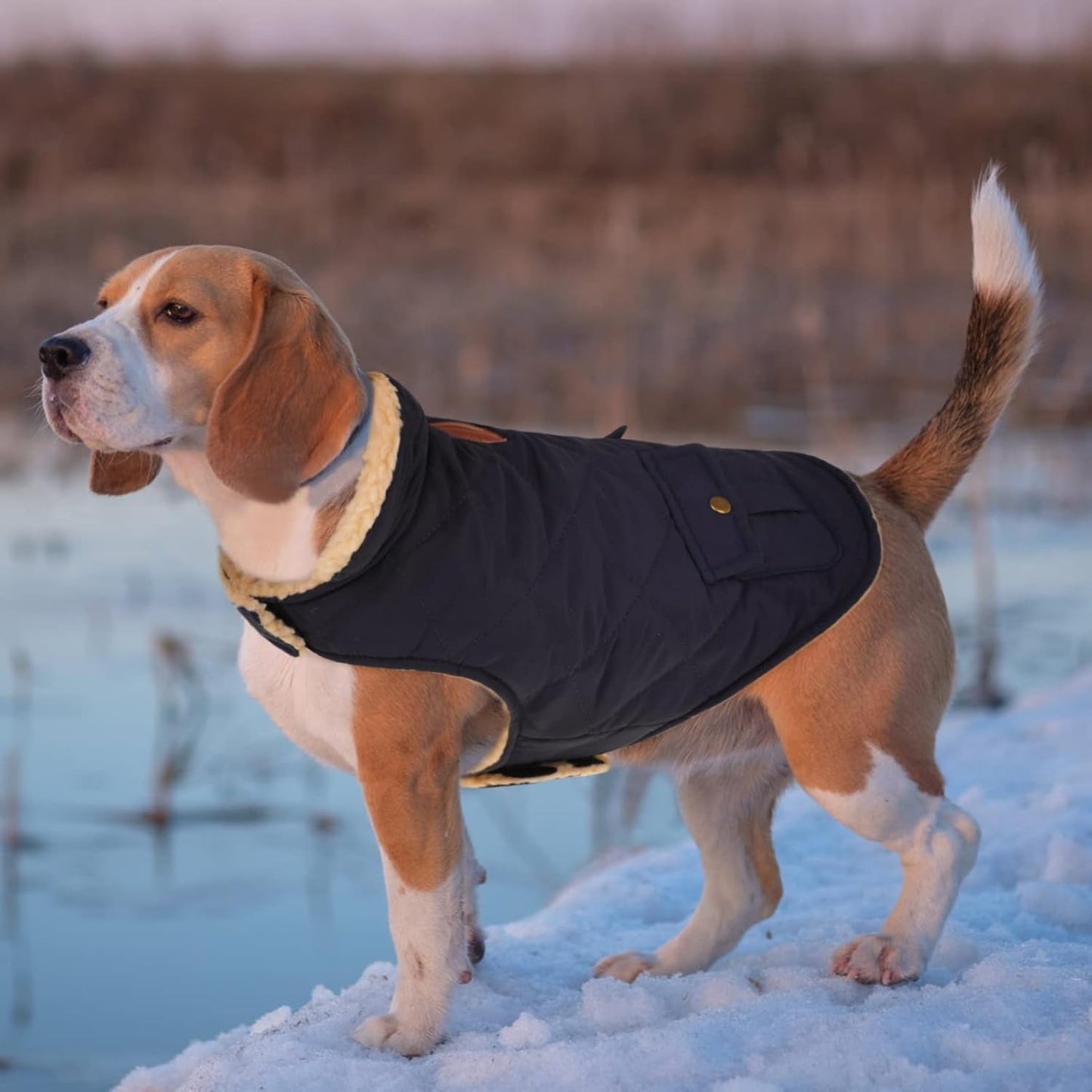 Queenmore Warm Puffer Dog Coat, Quilting Winter Jacket Ultra Thick Plush Lining with Storage Pockets (Dark Navy, Large)