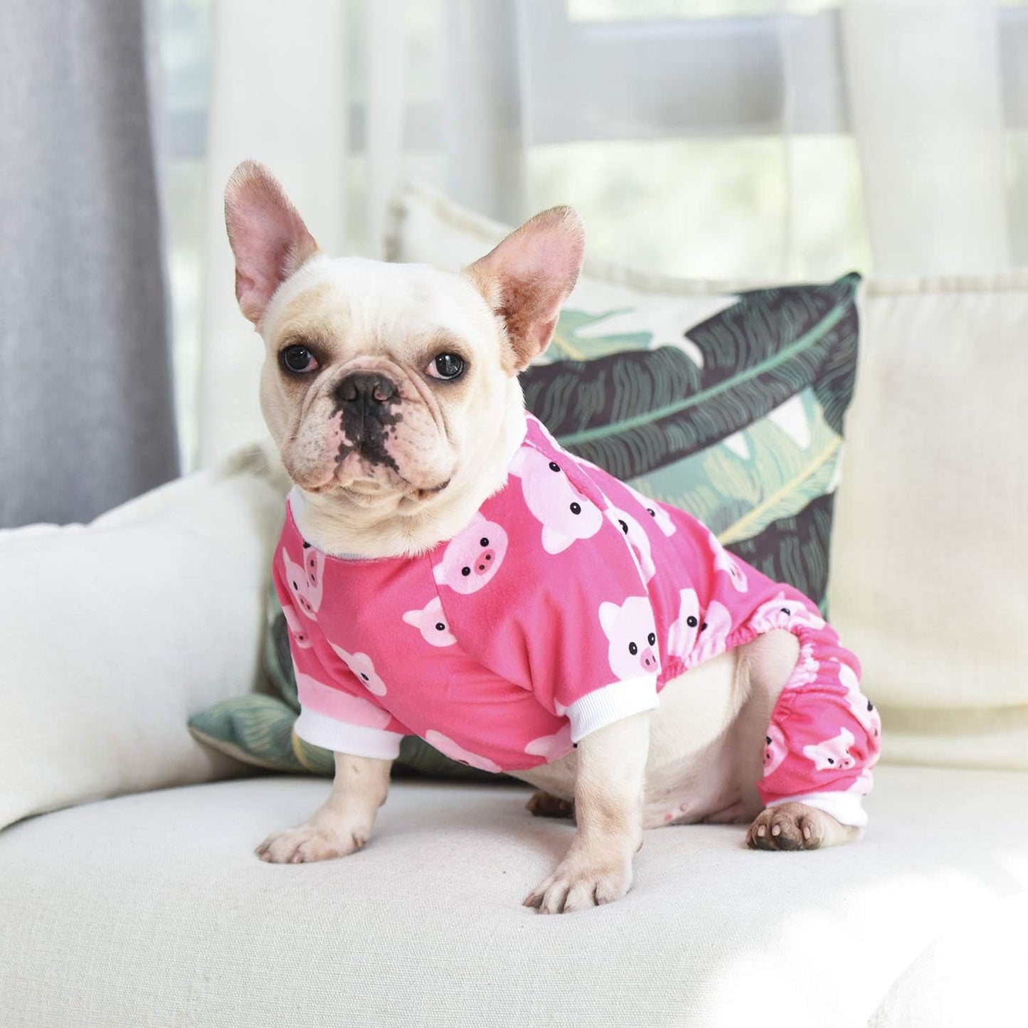 CuteBone Dog Halloween Pajamas Puppy Onesies Small Dogs Soft Pjs Coat Cat Apparel Comfy Pet Christmas Clothes Outfit Doggie Bodysuit P46XXL