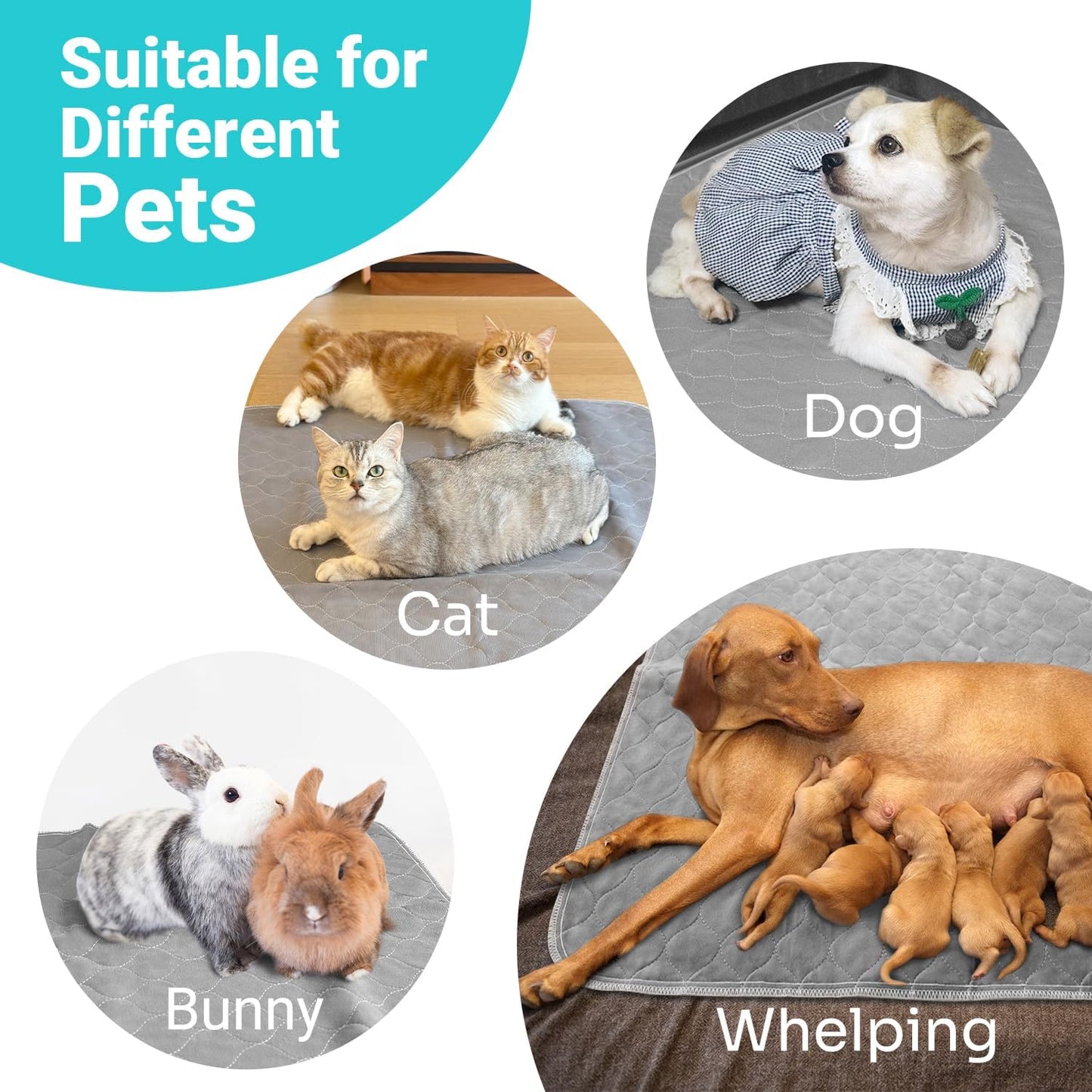 Conkote 2 Pack Washable Dog Pads 30" x 32", Reusable Pee Pads Waterproof Pet Puppy Playpen Pads Dog Mats with Non-Slip Bottom for Pet Training, Incontinence, Whelping, Playpen, Potty