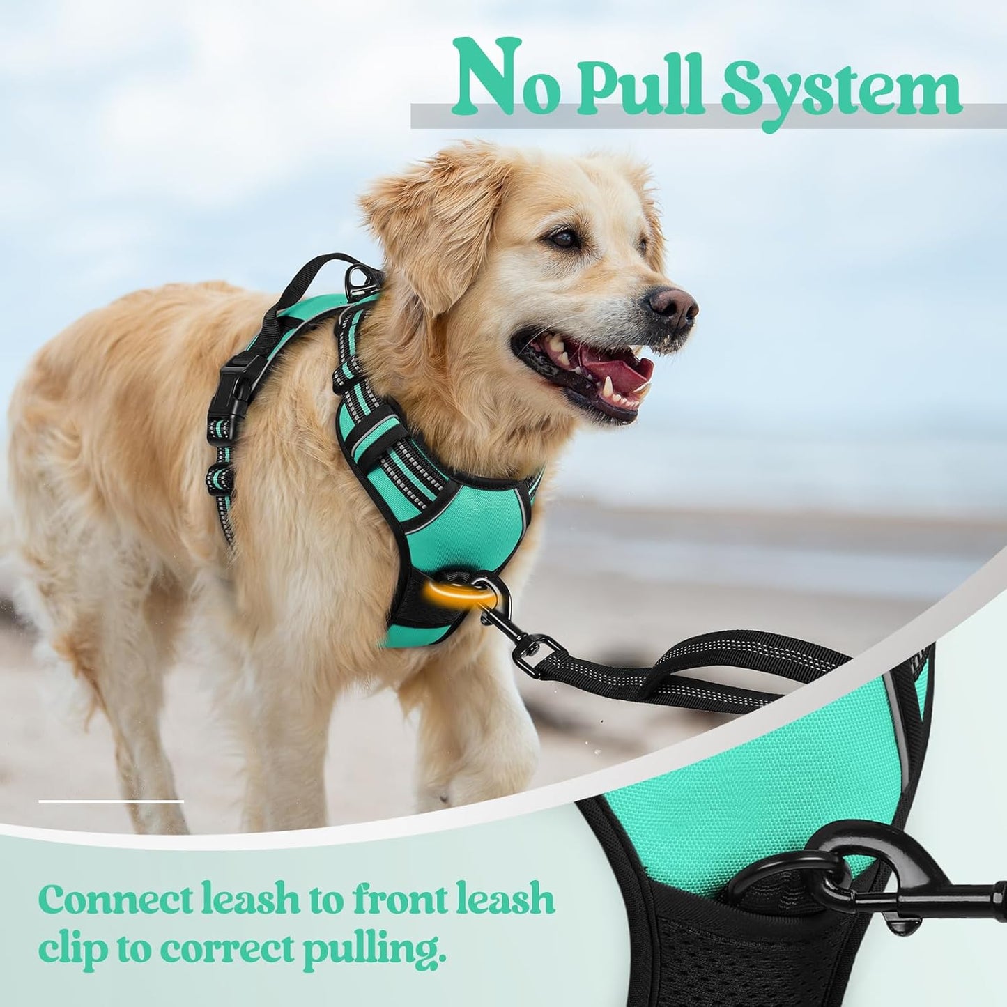 rabbitgoo Dog Harness No Pull with 2 Leash Clips, Adjustable Soft Padded, Reflective Oxford No Choke Pet Vest with Easy Control Handle for Large Dogs, Turquoise, L