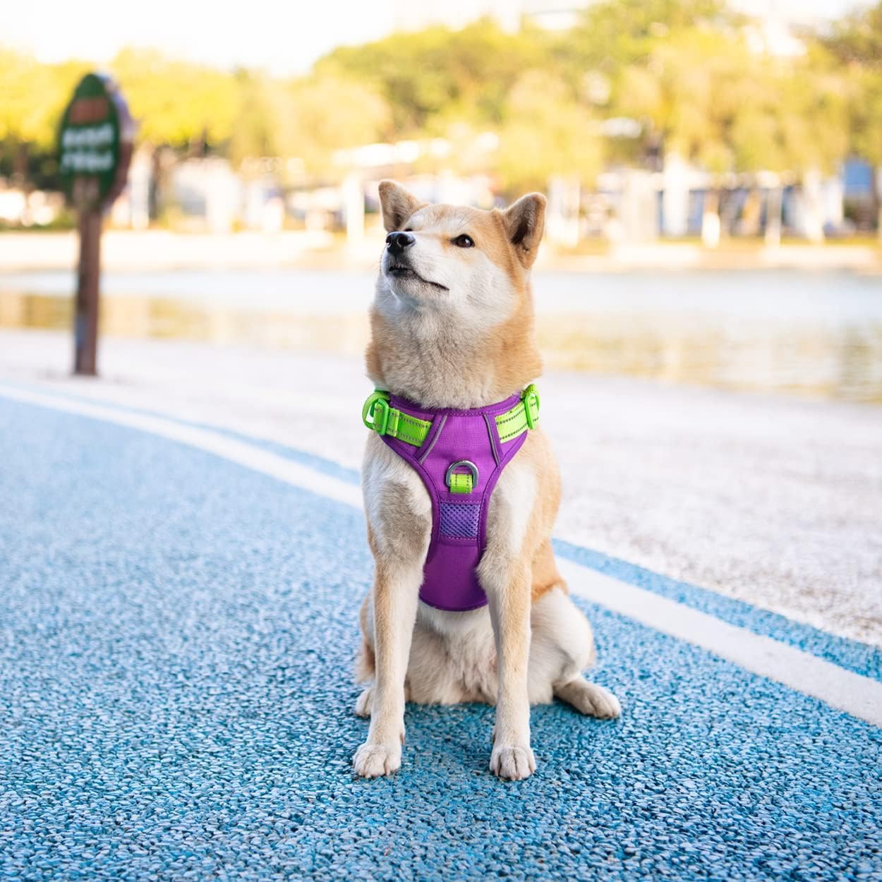 PHOEPET No Pull Dog Harness, Unique Colors Reflective Adjustable Dog Vest, with Soft Training Handle Metal Clips for Small Medium Large Dogs (Purple Base & Green Straps,XL)