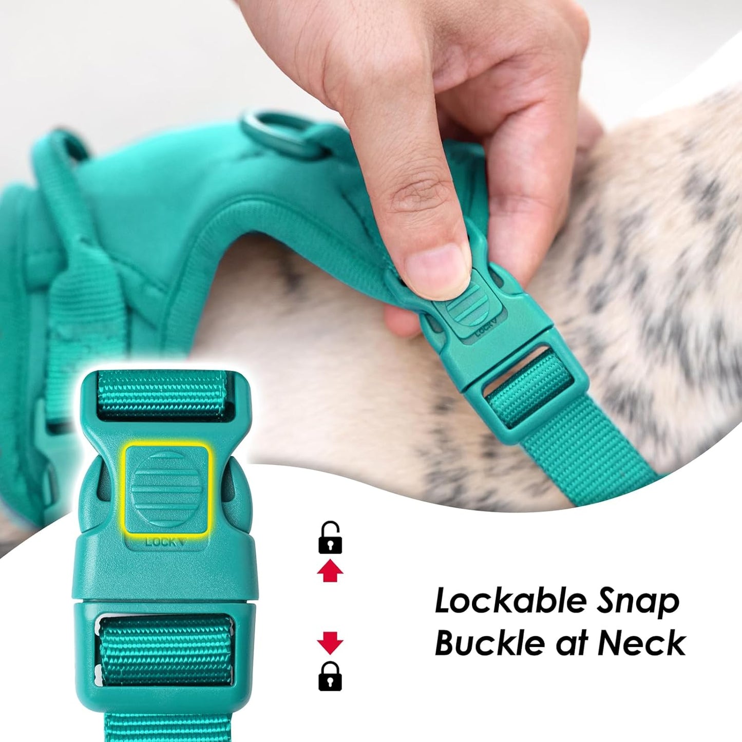 No Pull Dog Harness, Puppy Vest with Front Clip for Small Medium Large Sized Dog(MARRS Green,XL)