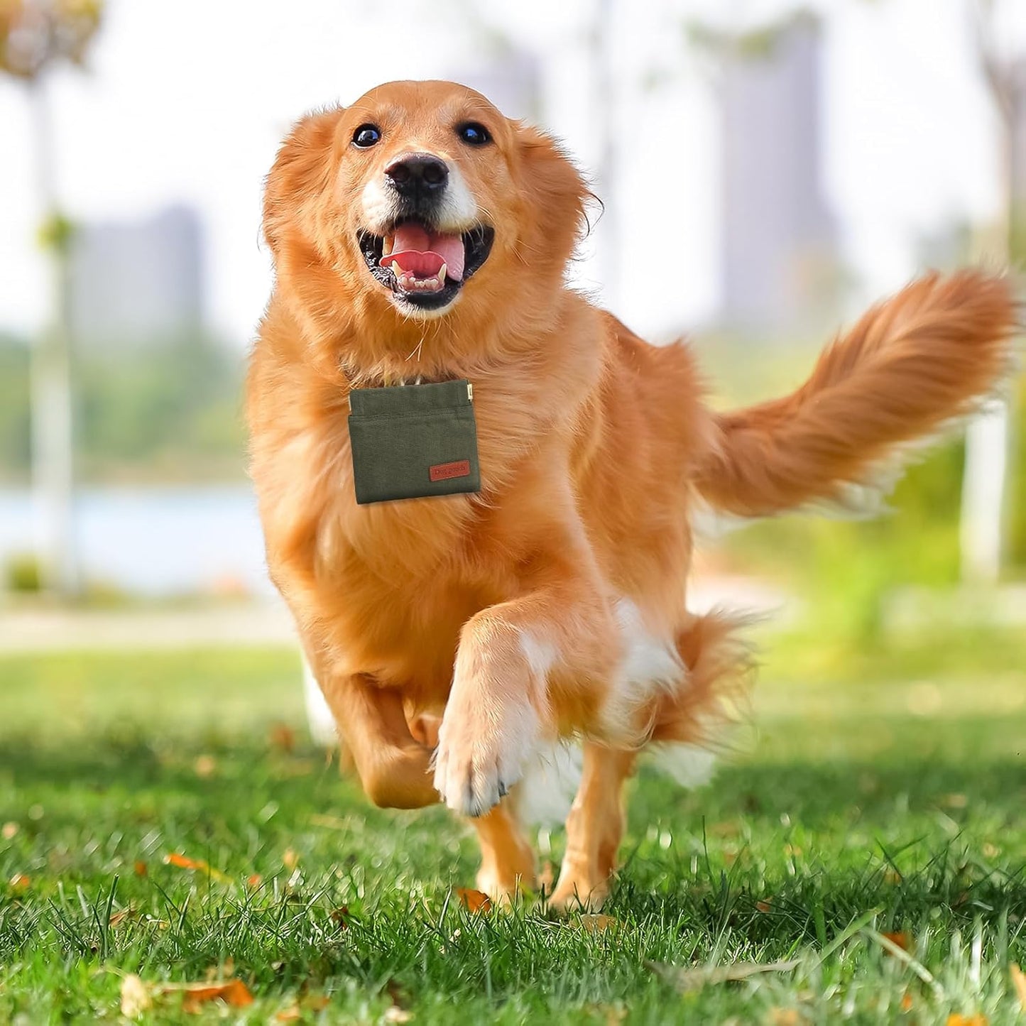 2PC Dog Treat Pouch,Dog Training Treat Reward Bag,Portable Puppy Hand Free Dog Walking Bag,Auto Closing Dog Food Dispenser,Behavior Aids for Puppy Travel or Outdoor(Green+Grey)