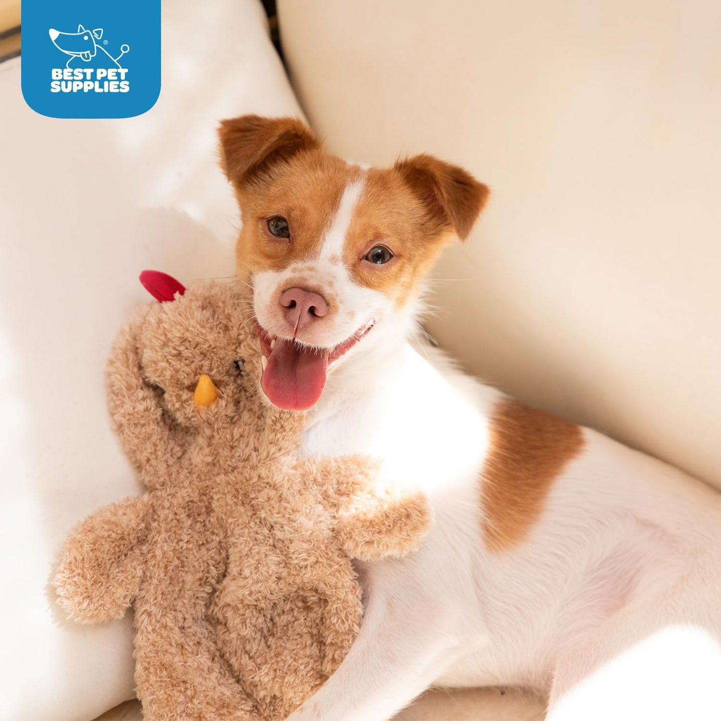 Best Pet Supplies Interactive Squeaky Dog Chew Toy, Ideal Dog Toys for Chewers, Small, Medium & Large Dogs, and Fetch Lovers - Crinkle Chicken (Khaki), Large