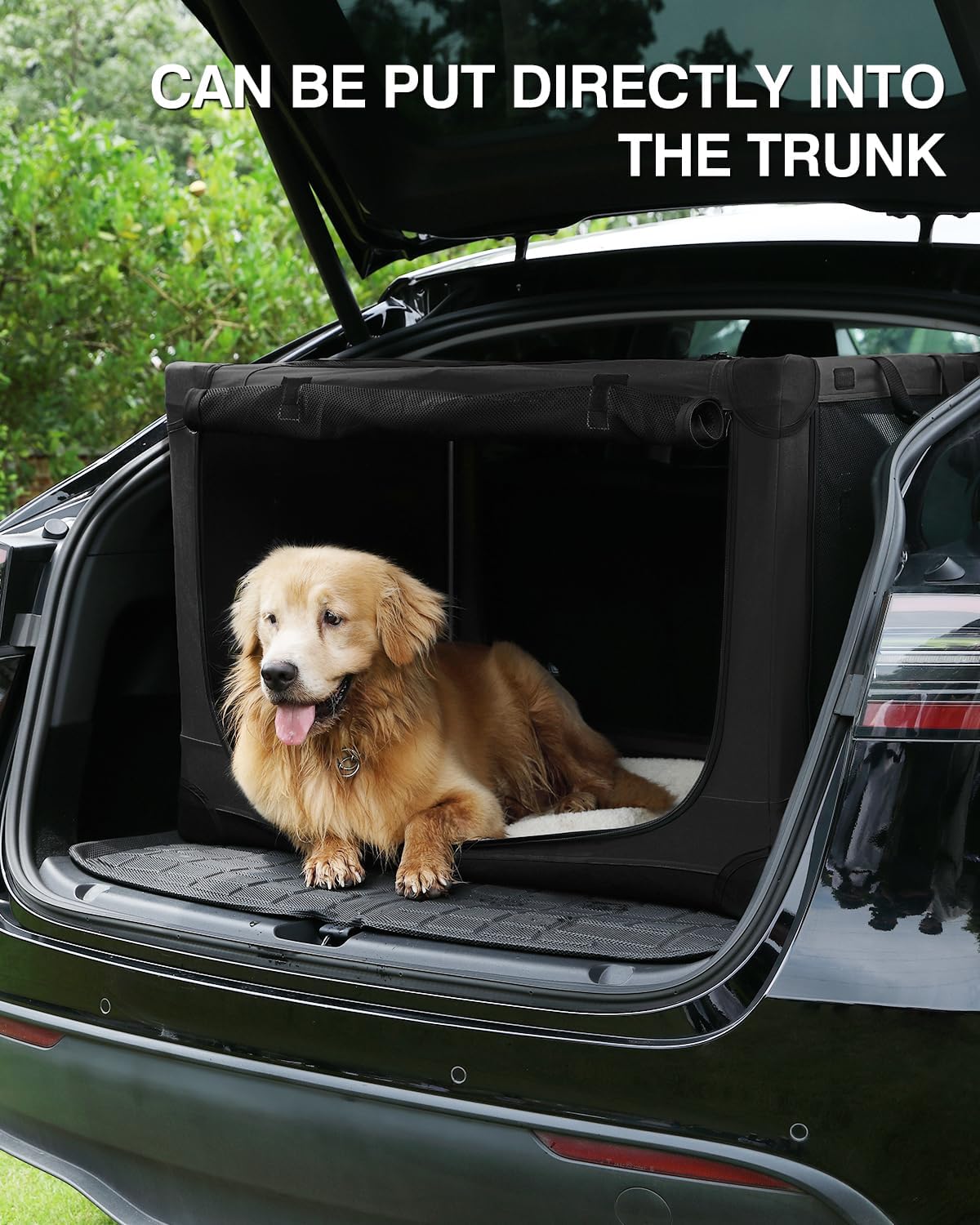 30 Inch Collapsible Travel Dog Crate for Medium Large Dogs, Portable Dog Crate 4-Door Foldable Soft Kennel with Durable Mesh Windows for Indoor & Outdoor Travel, with Storage Bag,Black