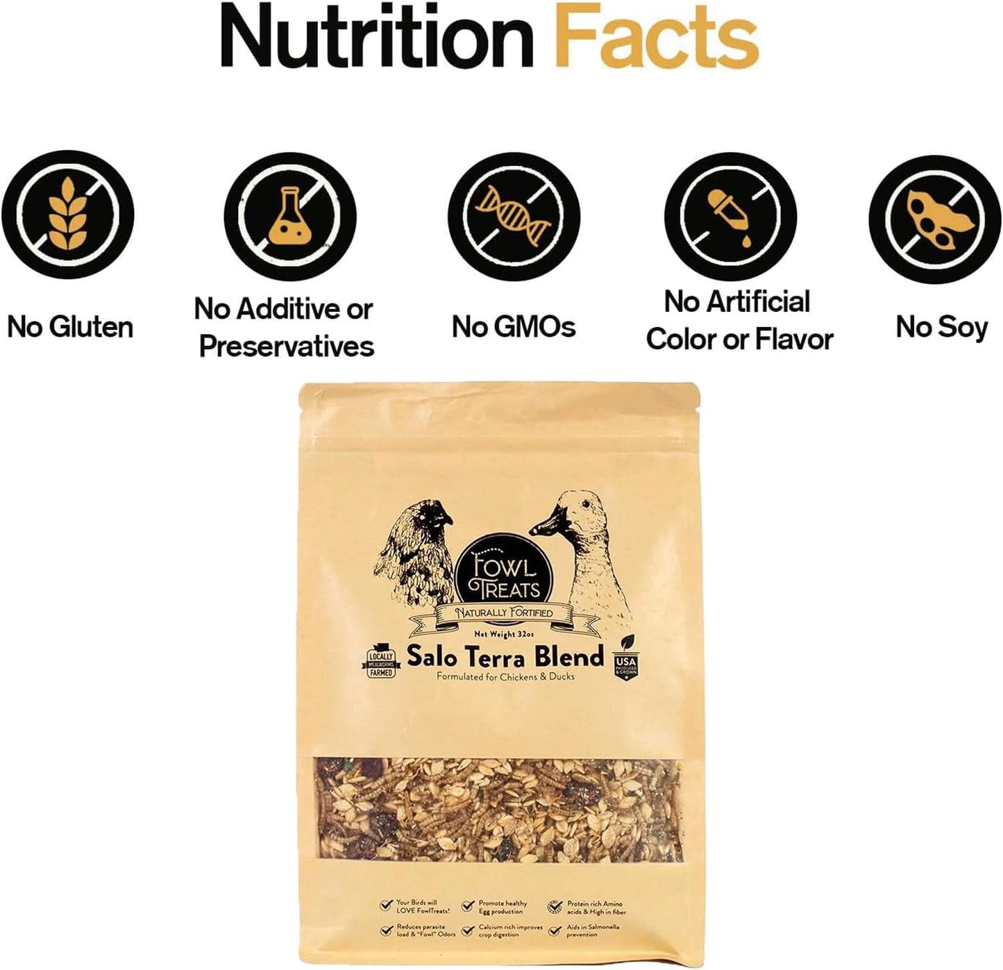 Naturally Fortified Treats – Protein Rich Supplement Suitable for Chickens, Hens and Ducks, Hand Mixed with USA Grown Ingredients – Salo Tera Blend – 32oz