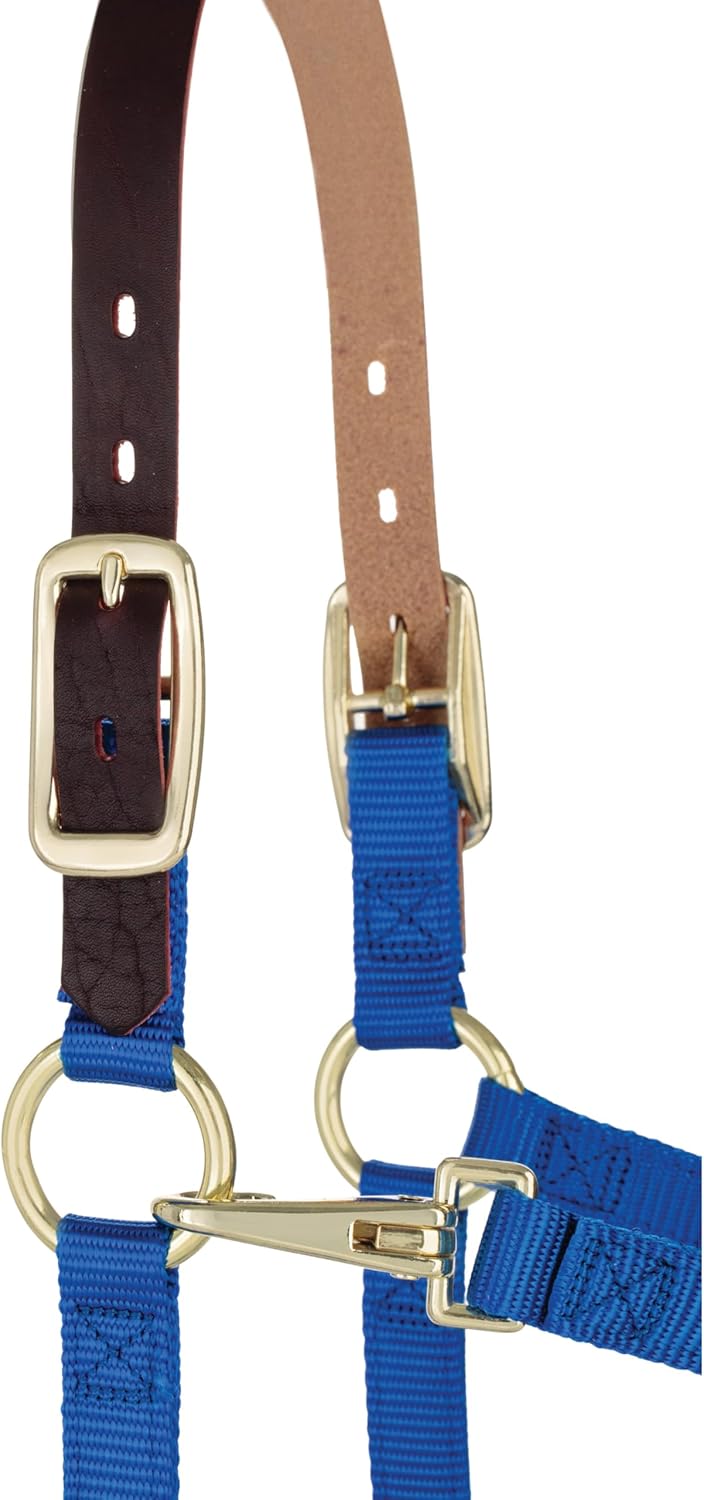 Weaver Equine Breakaway Horse Halter, Supple Leather Crown, Adjustable Chin & Throat Snap Halters for Horses, Equine Tack
