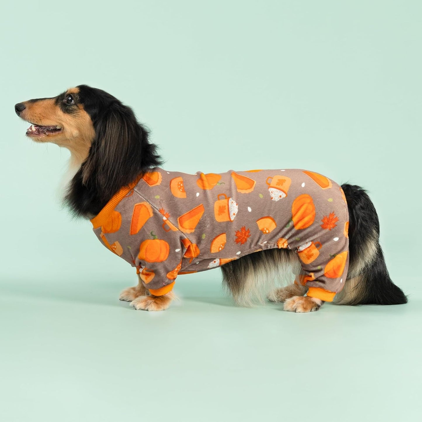 Fitwarm Pumpkin Dog Pajamas, Thanksgiving Outfit for Small Dogs Boy Girl, Pet Onesie, Brown, Orange, XL