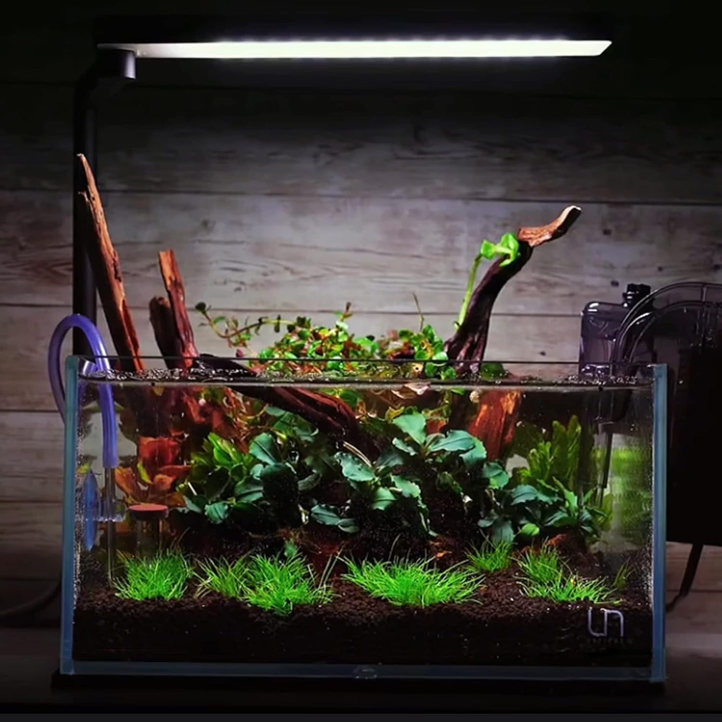 majoywoo Natural Small Coral Driftwood for Aquarium Decor Fish Tank Decorations, Assorted Driftwood Branch 4.5-7.5" 5 Pcs, Reptile Decor