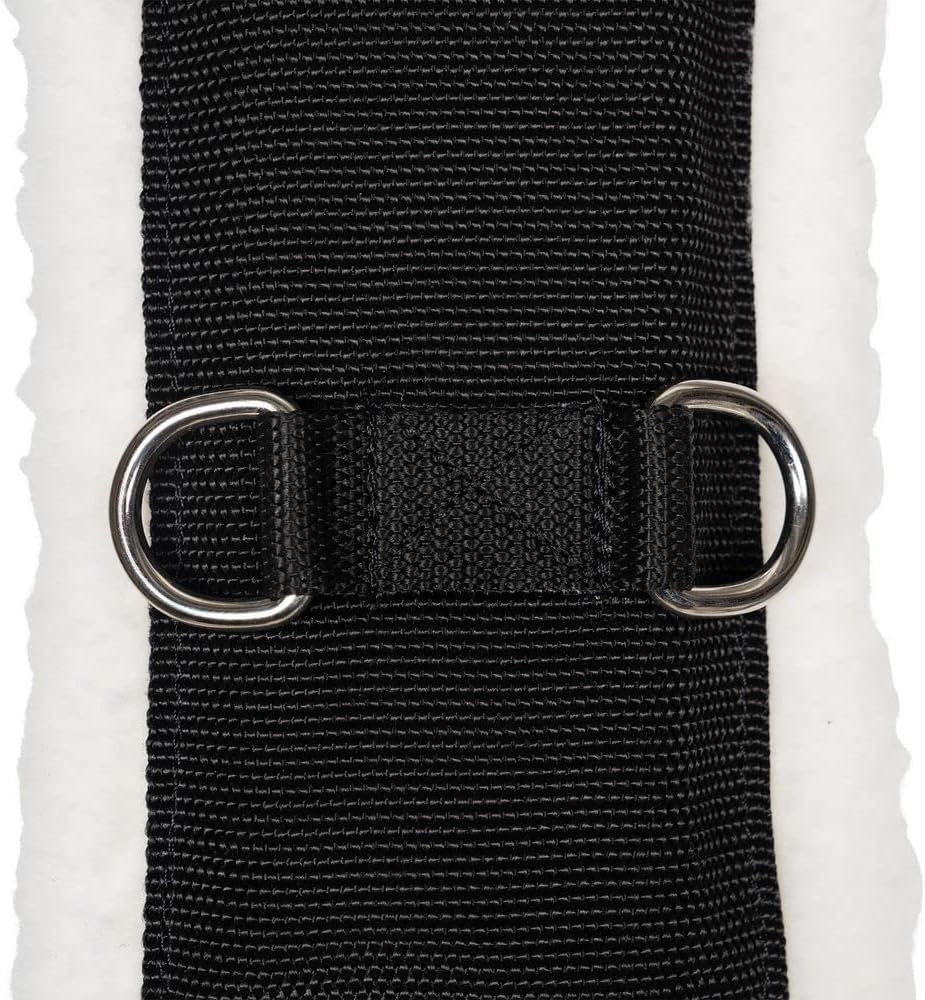 Dura-Tech Fleece Lined Training Surcingle for Horses | Essential for Lunging Work | Comfortable Fleece Lining | Durable Poly Material | Versatile D-Ring Placement | Suitable for All Training Levels