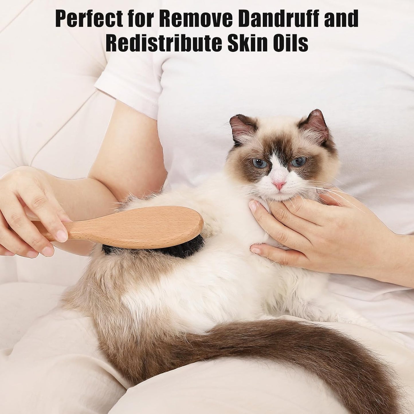 Boar Bristle Cat Brush with Wooden Handle, Soft and Gentle, Reduce Shedding, Make Coat Soft, Smooth and Shinny, Daily Grooming Tool for Short Haired Cats, Kitten