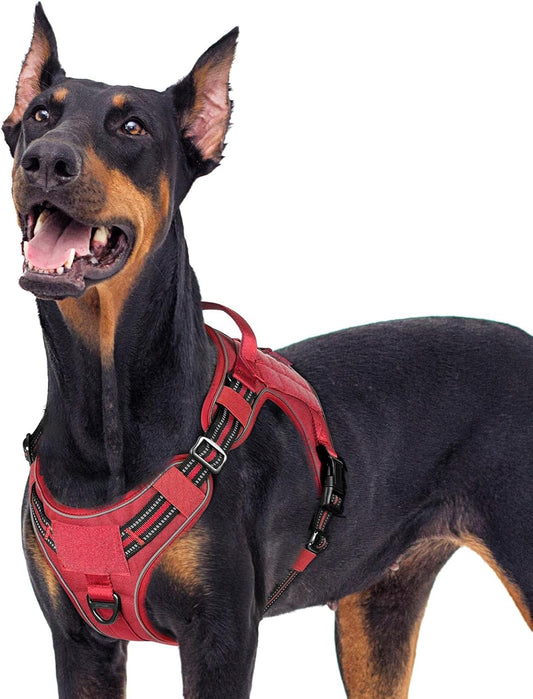 rabbitgoo Dog Harness for Large Dogs No Pull, Tactical Service Pet Vest with Molle and Control Handle, Adjustable and Reflective Military Harness for Easy Walking and Training, Red, XL