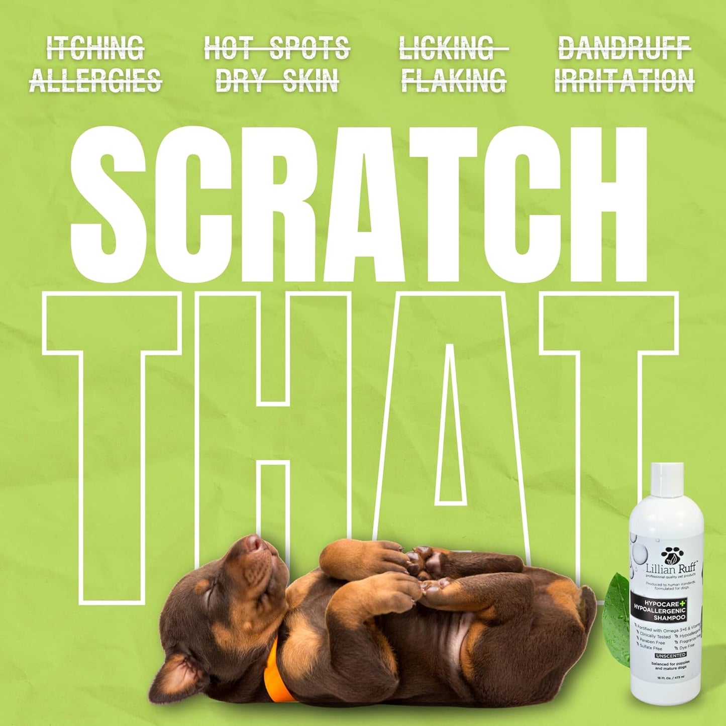 Lillian Ruff Calming Oatmeal Pet Shampoo for Dry Skin & Itch Relief with Aloe & Hydrating Essential Oils - Replenish Moisture & Deodorize - Tearless Dog Shampoo for Normal/Sensitive Skin (Hypocare+)