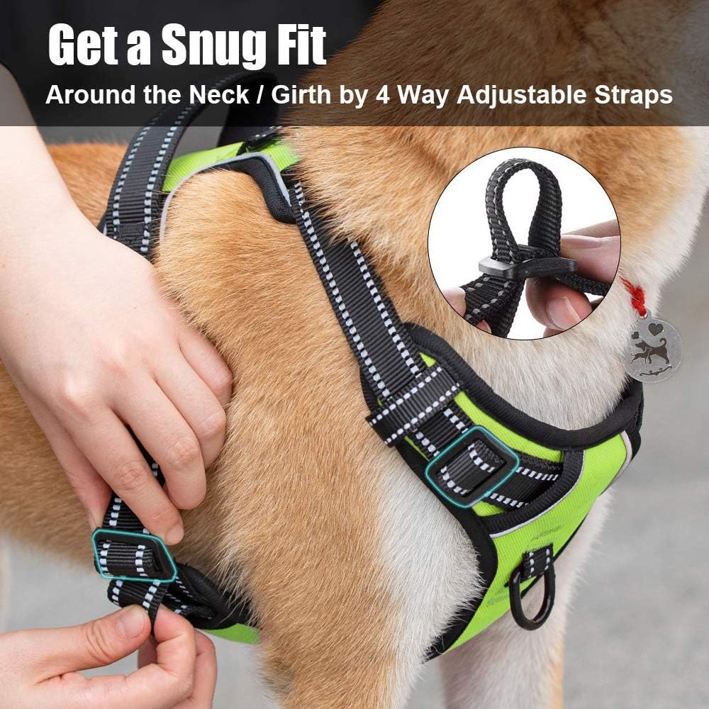 PoyPet No Pull Dog Harness, Reflective Comfortable Vest Harness with Front & Back 2 Leash Attachments and Easy Control Handle Adjustable Soft Padded Pet Vest for Small to Large Dogs (Green,XL)