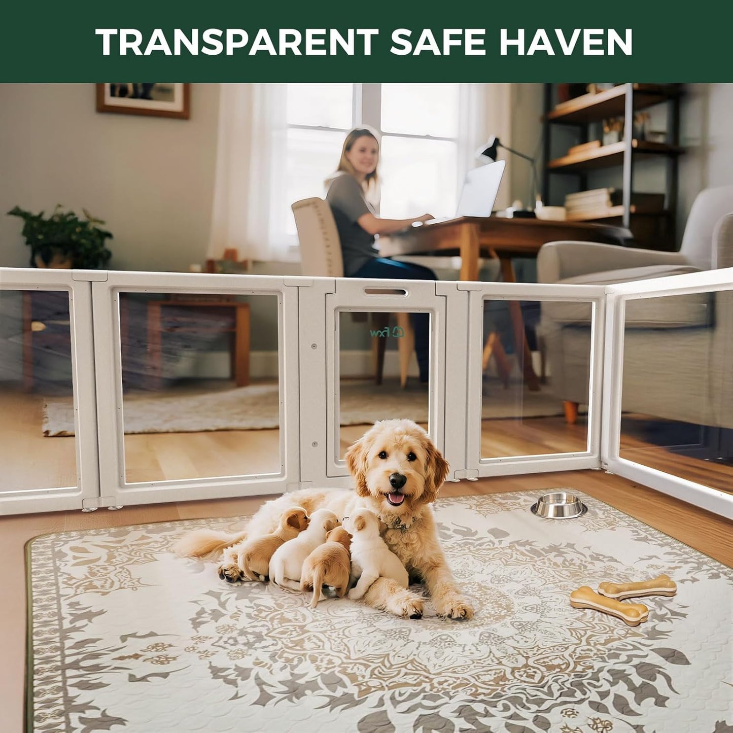 FXW AuraSpace Acrylic Indoor Unleashed Dog Playpen for Puppies and Small Dogs, 24 Inch, 12 Panels, White