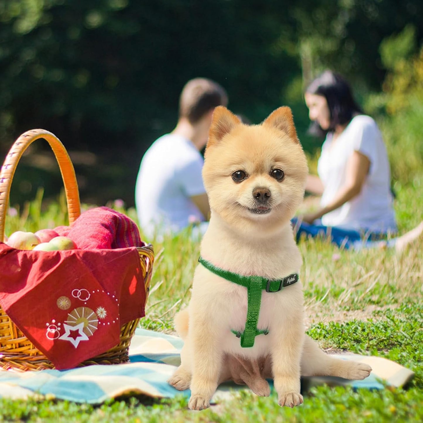 PUPTECK No Pull Dog Harness Soft Adjustable Basic Nylon Step in Puppy Vest Outdoor Walking with ID Tag, Blackish Green, S