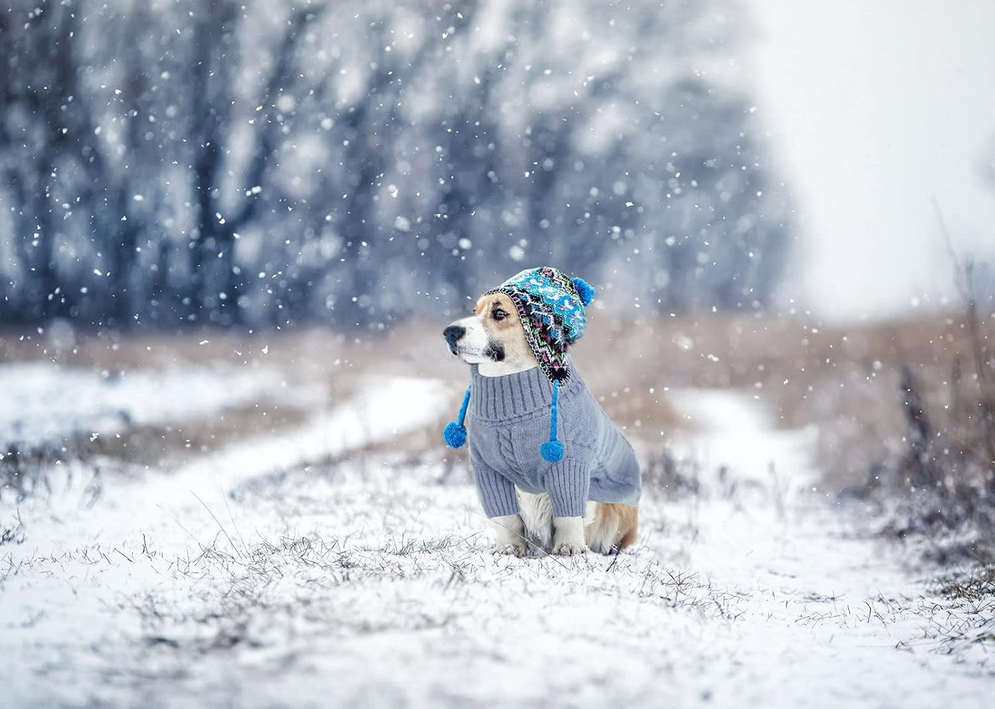 Queenmore Small Dog Pullover Sweater, Cold Weather Cable Knitwear, Classic Turtleneck Thick Warm Clothes for Chihuahua, Bulldog, Dachshund, Pug, Yorkie (Grey, Medium)