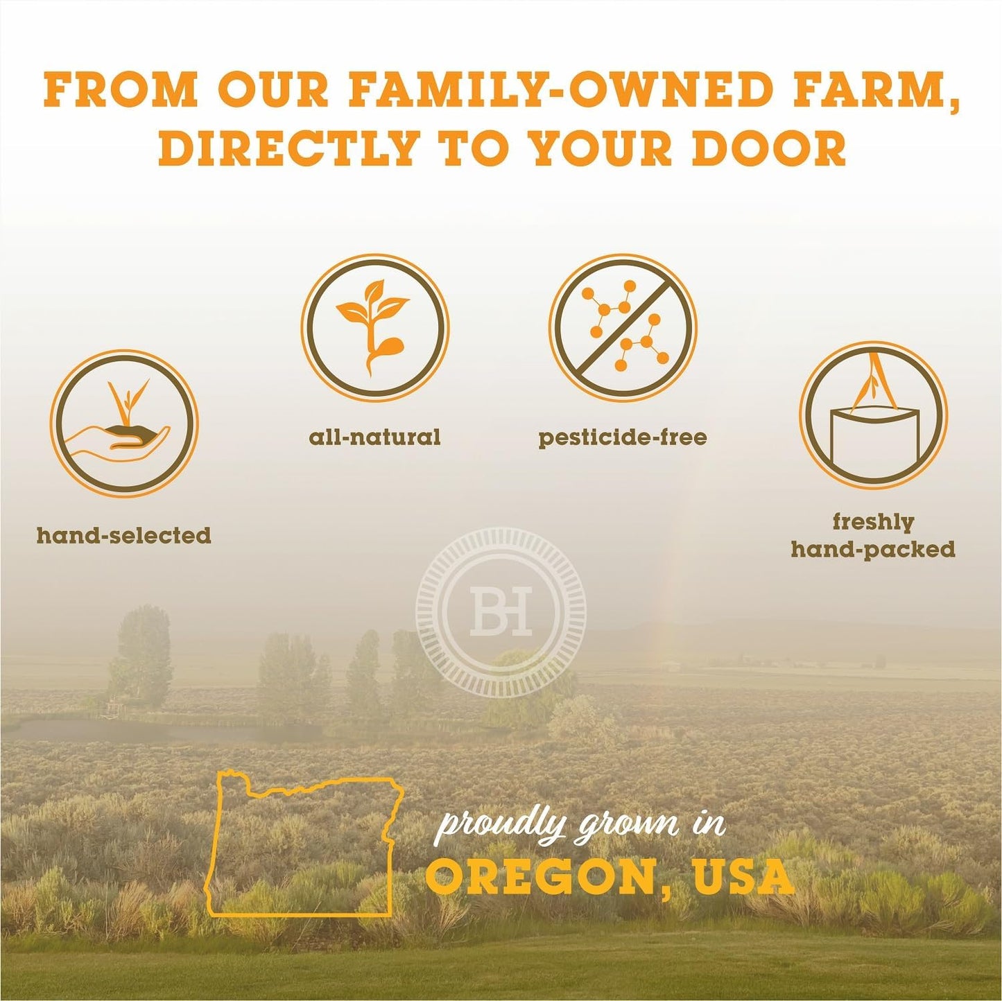 Orchard Grass Hay for Guinea Pigs, Rabbits, Hamsters & Small Pets by Bunny Honey - Fresh, High-Fiber, Supports Digestive Health & Dental Care, Non-Blended & Fresh Cut