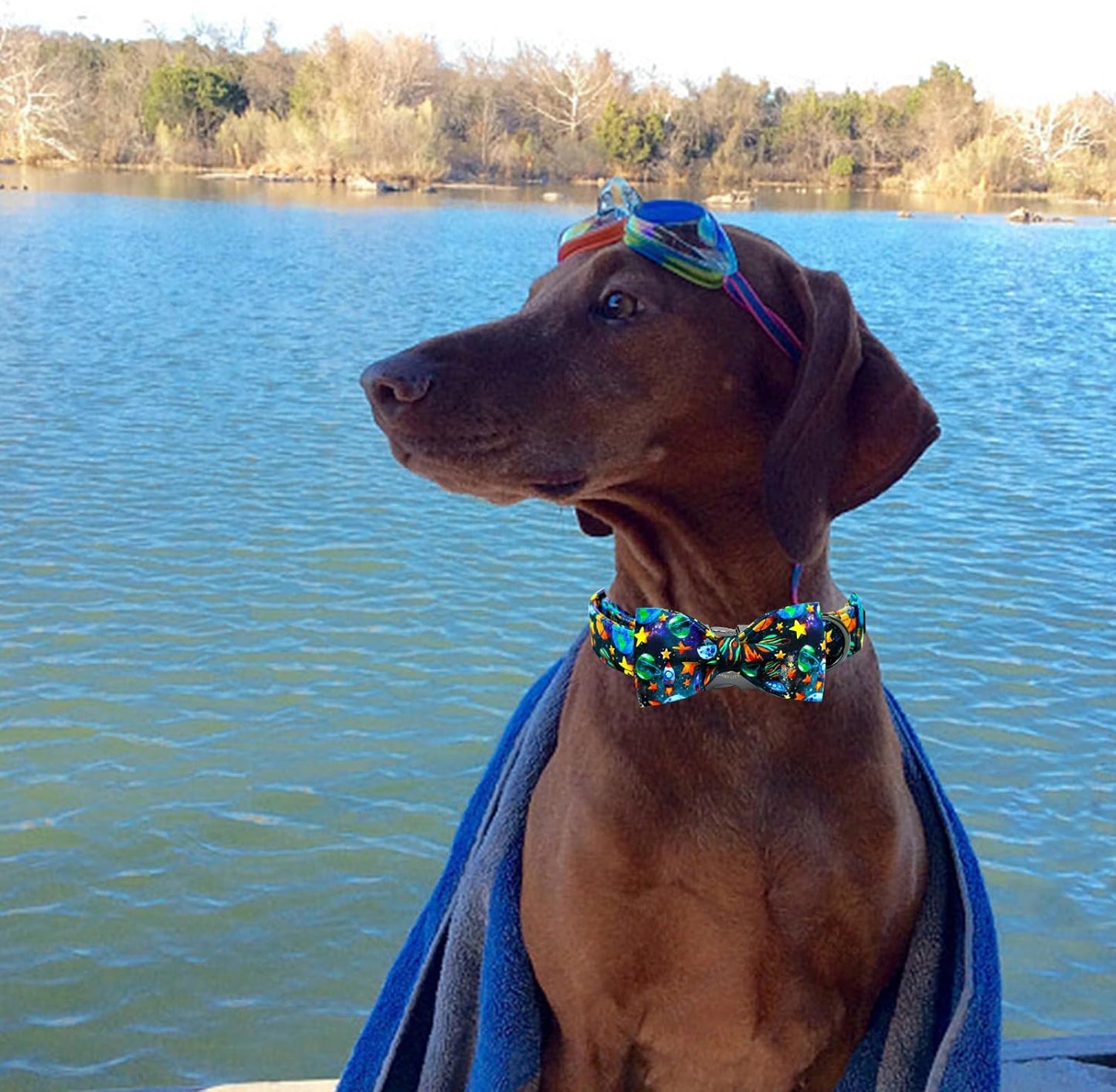 Elegant little tail Dog Collar, Boy Pet Collrs Blue Durable Soft Bowtie Dog Collar Adjustable Dog Collars for Small Medium Large Dogs