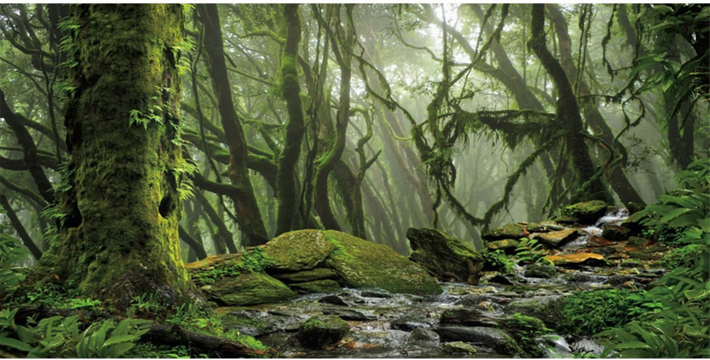 AWERT Foggy Forest Terrarium Background Stream Green Huge Tree Reptile Habitat Background Tropical Rainforest Aquarium Background 72x24 inches Durable Polyester Background