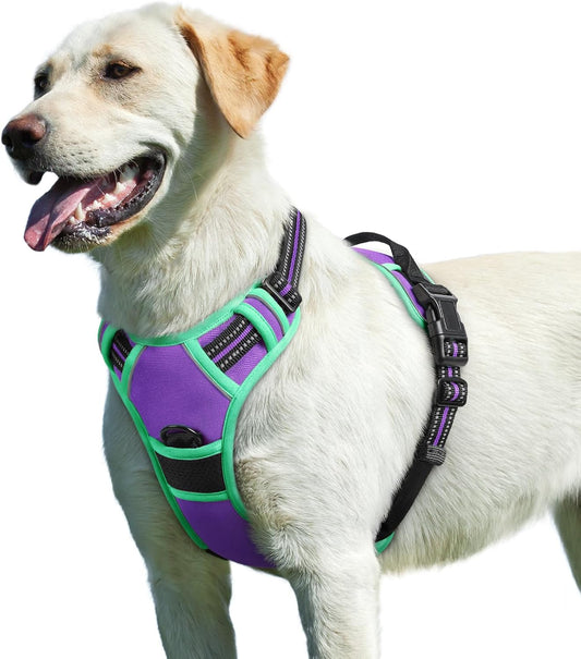 Eagloo Dog Harness for Large Dogs, No Pull Service Vest with Reflective Strips and Control Handle, Adjustable and Comfortable for Walking, No Choke Pet Harness with 2 Metal Rings, Purple & Green, L