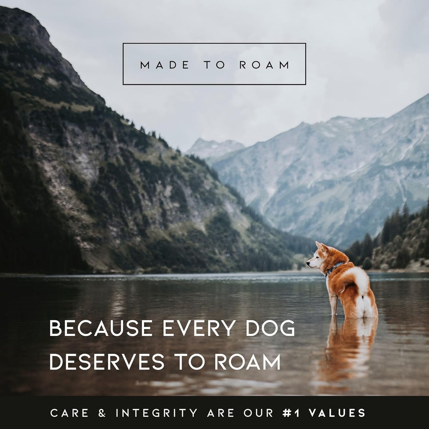 MADE TO ROAM Premium Explorer Harness - Y-Shaped Dog Harness with Adjustable Durable Nylon, Soft Padding, Metal Buckles and Leather Handle for Small, Medium, Large Dogs (Virginia Mountains, Size 7)