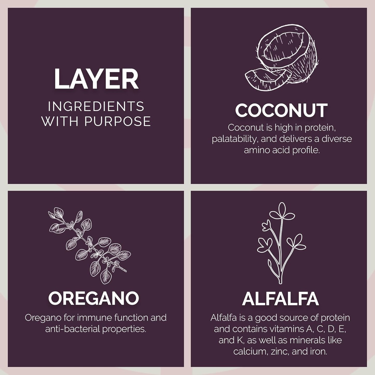 Layer Crumb Feed, 40lbs - Non-GMO, High-Protein Poultry Feed for Healthy Hens & Nutritious Eggs, 17.5% Protein - USDA Certified Organic Blend, Soy & Corn-Free