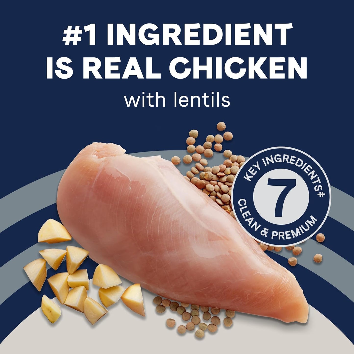 Canidae Pure Limited Ingredient Premium Adult Dry Dog Food, Real Chicken, Lentil & Potato Recipe, 4 lbs, Grain Free