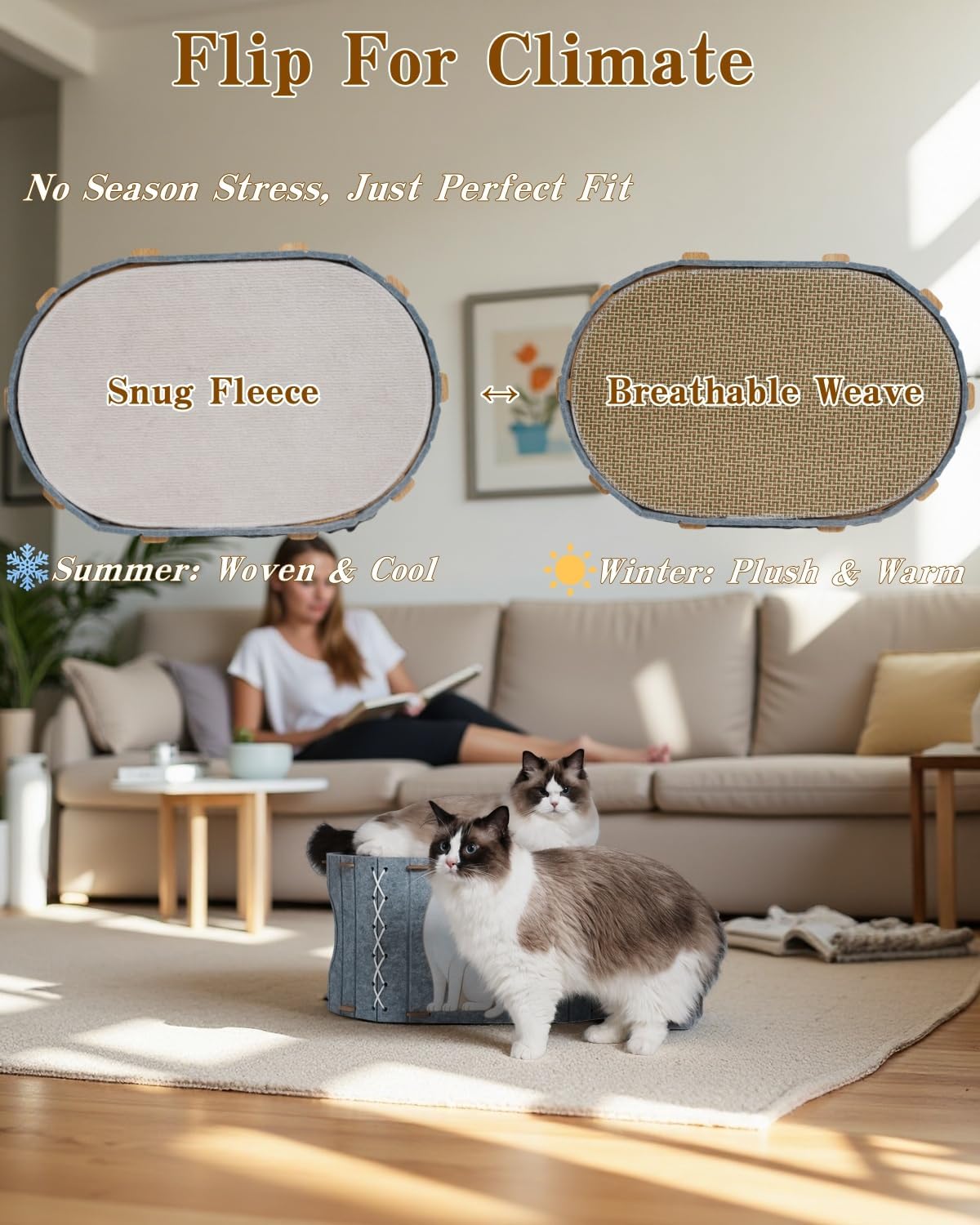 2-in-1 Large Cat House for Indoor Cats, Felt Cat Cave with Cushion, Dual Entrances & Sisal Ball Toy, Enclosed Bed for Large Cats or Multi-Cat Use, Supports 88 lbs