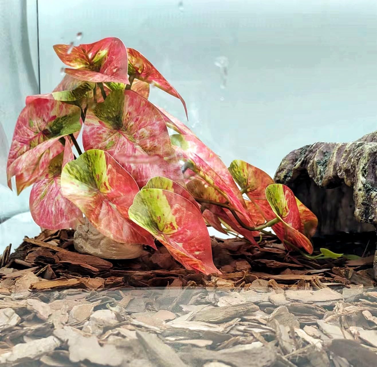 Reptile Plants for Terrarium Decor,Amphibian Habitat Decor, Bearded Dragon Tank Accessories,Artificial Plants for Gecko Chameleon Snake Tortoise with Base (Arrowhead)