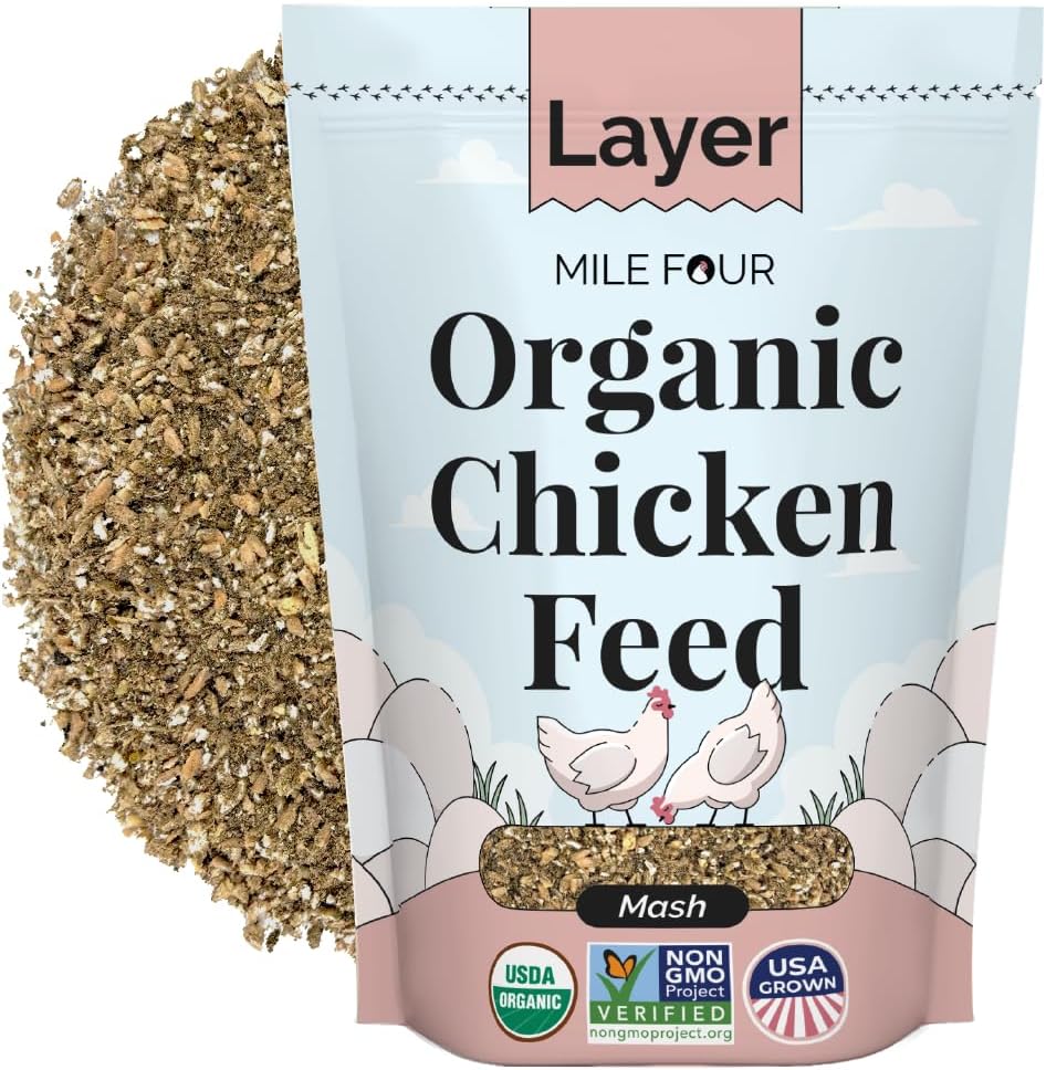 Organic Chicken Feed – Layer Mash, Non-GMO, USA Grown, 16% Protein, Corn-Free, Soy-Free, Non-Medicated Feed for Chickens, 2 lbs Sample