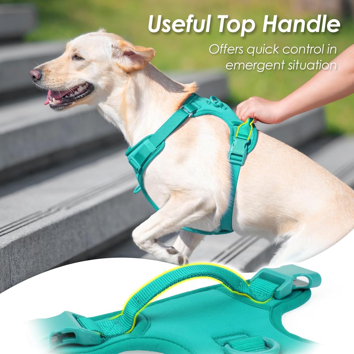 No Pull Dog Harness, Puppy Vest with Front Clip for Small Medium Large Sized Dog(MARRS Green,L)