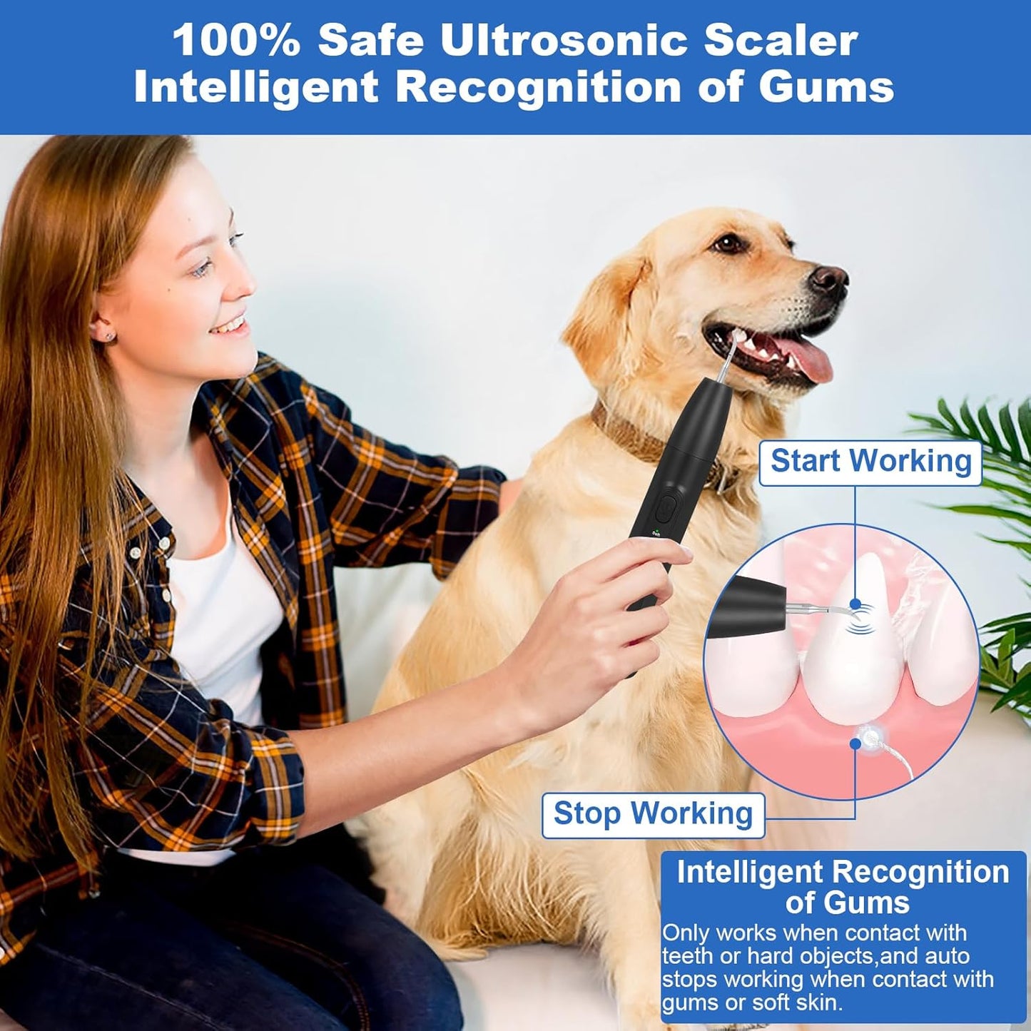 Dog Tooth Brushing Kit,Dogs Teeth Cleaning Kit with Light,3 Modes Doggie Plaque and Tartar Remover for Teeth,Low Noise Dog Teeth Cleaner and Dental Care, Black1