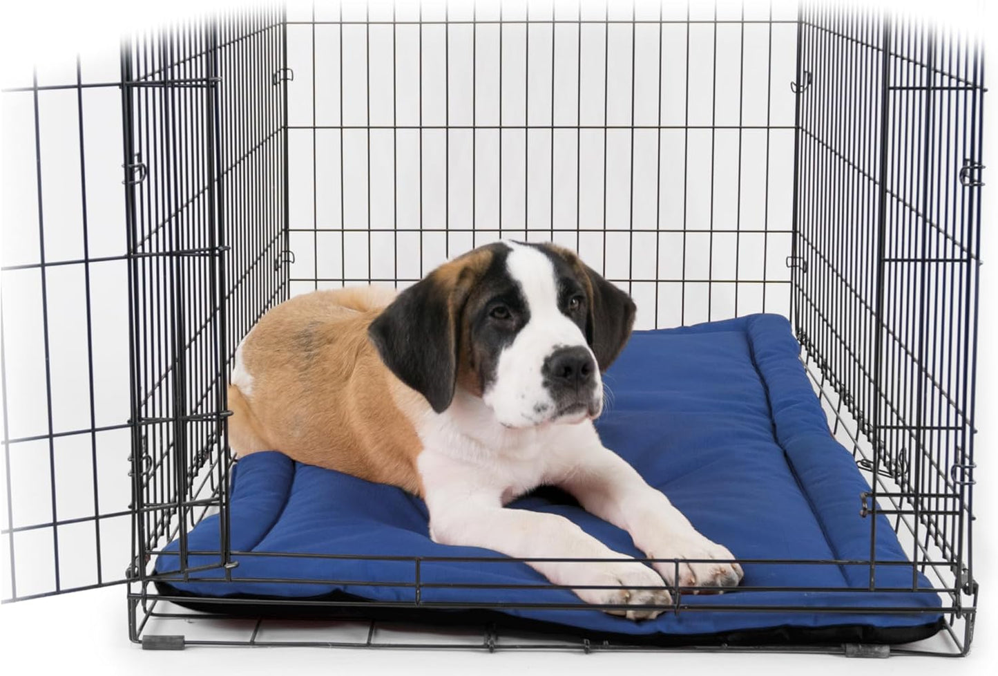K9 Ballistics Tough Ripstop Dog Crate Pad - Durable & Machine Washable with Non-Skid Bottom and 120-Day Warranty, Fits 24" Wire Crates - X-Small, Blue Quartz