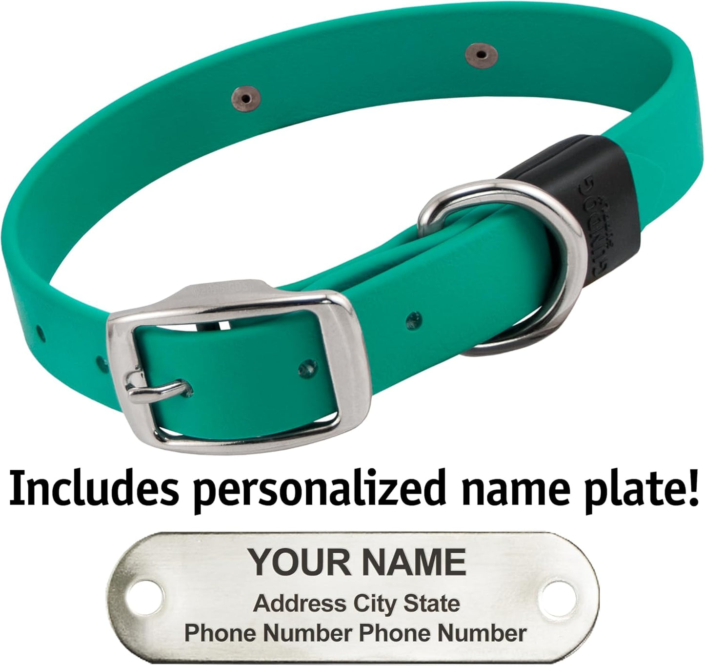 Biothane Custom Dog Collar – Waterproof, Stink-Proof Personalized Collar with Name & Phone Number – Durable, Many Sizes and Colors – Assembled in USA – Assembled in USA (Teal)