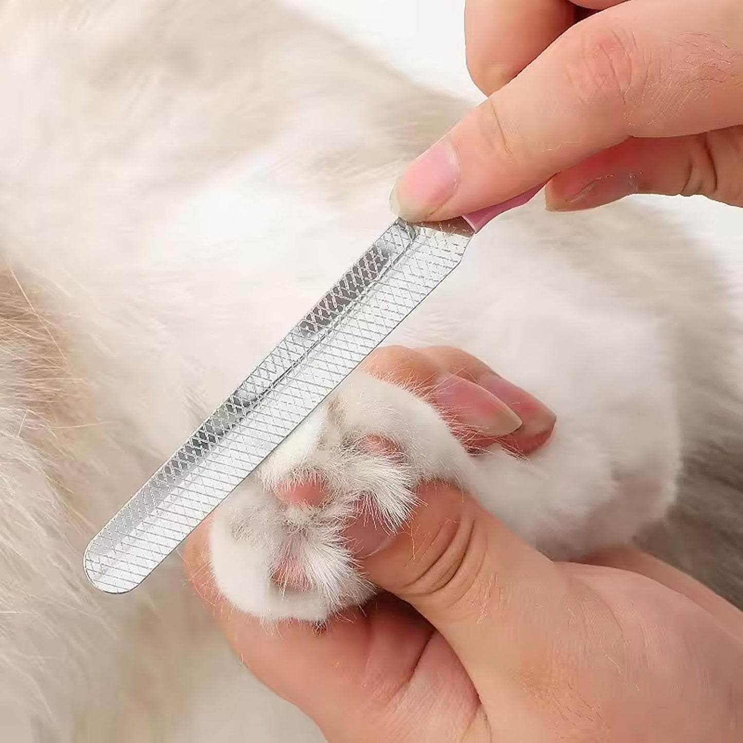 Cat Nail Clippers for Beginners and Groomers - Durable pet trimmer - Supplies with Safety Guard, Avoid Overcutting - Grooming Tool for Small Animals Tiny Dog Indoor Cat Bunny Rabbit Bird Kitten (Pink)