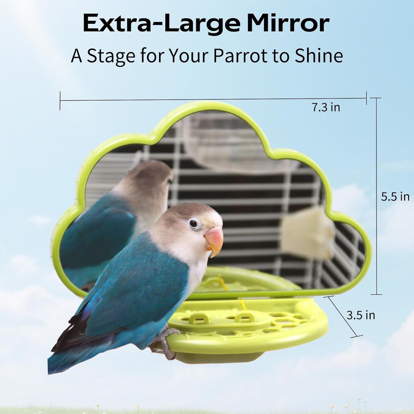 Bird Mirror with Perch & Slow Feeder – Interactive Bird Toy, Birds Cage Accessories for Parakeet, Budgies, Cockatiels, Conures, Lovebird, Finches & Canary – Relieve Boredom-Green