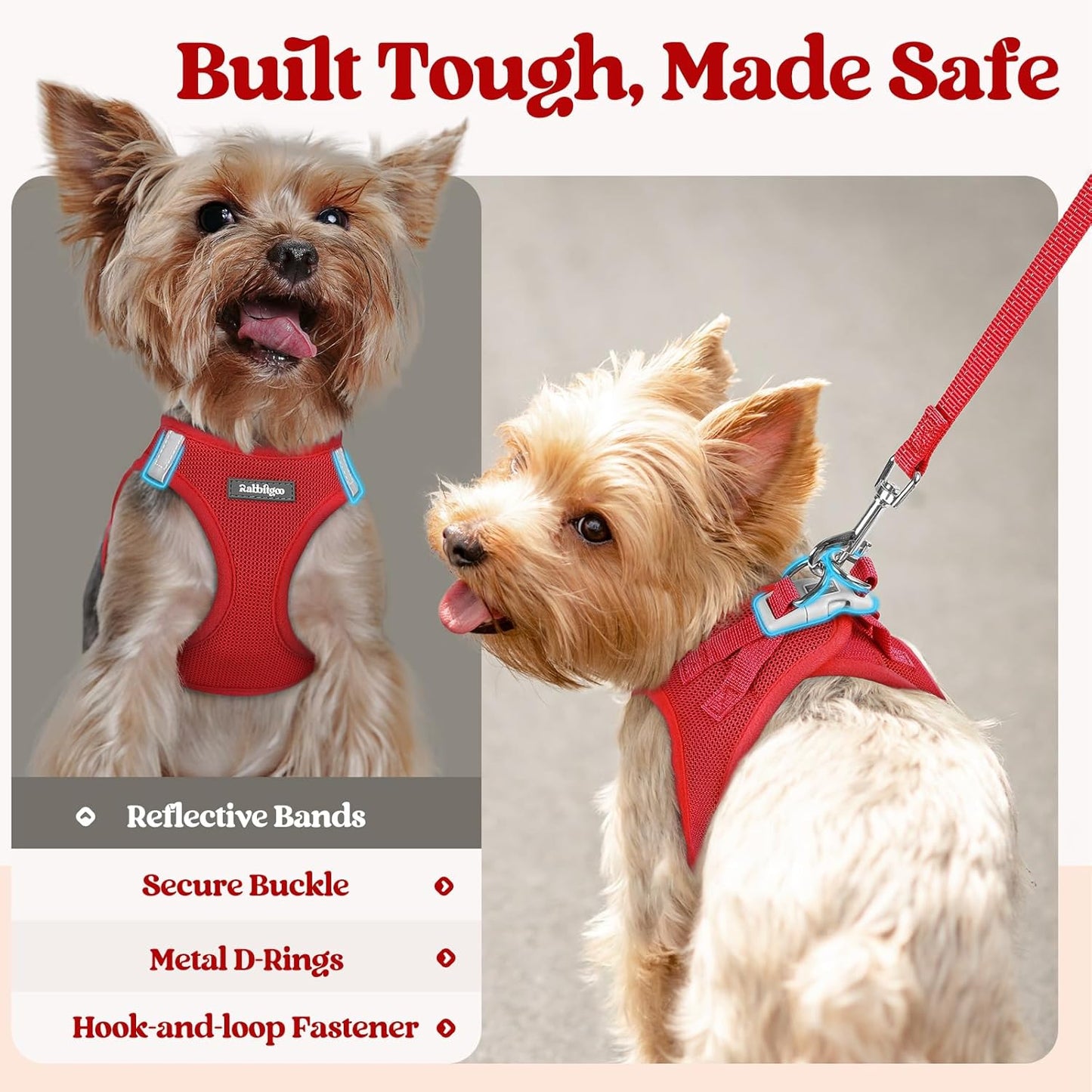 rabbitgoo Dog Harness Small Medium Sized and Leash Set, Step in Soft Light Puppy Vest, Breathable Mesh Pet Harness, Reflective for Safe Easy Walking, Red L
