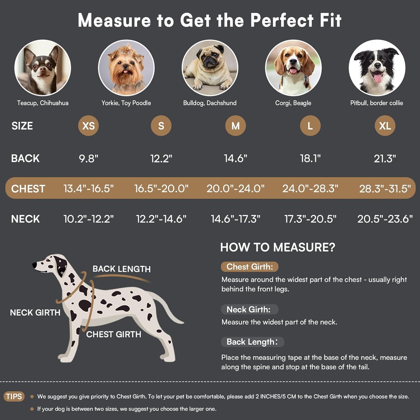 Queenmore Dog Winter Coat - Fleece Jacket, Waterproof Cold Weather Clothes, Thick Warm Cotton Padding, Easy On Storage Pockets (Grey, Large)