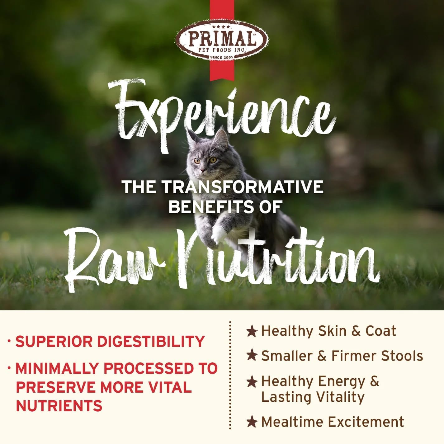 Primal Kibble in The Raw, Freeze Dried Cat Food, Chicken & Fish, Scoop & Serve, Made with Raw Protein, Whole Ingredient Nutrition, Crafted in The USA, Dry Cat Food, 24 Ounce (1.5 lb) Bag