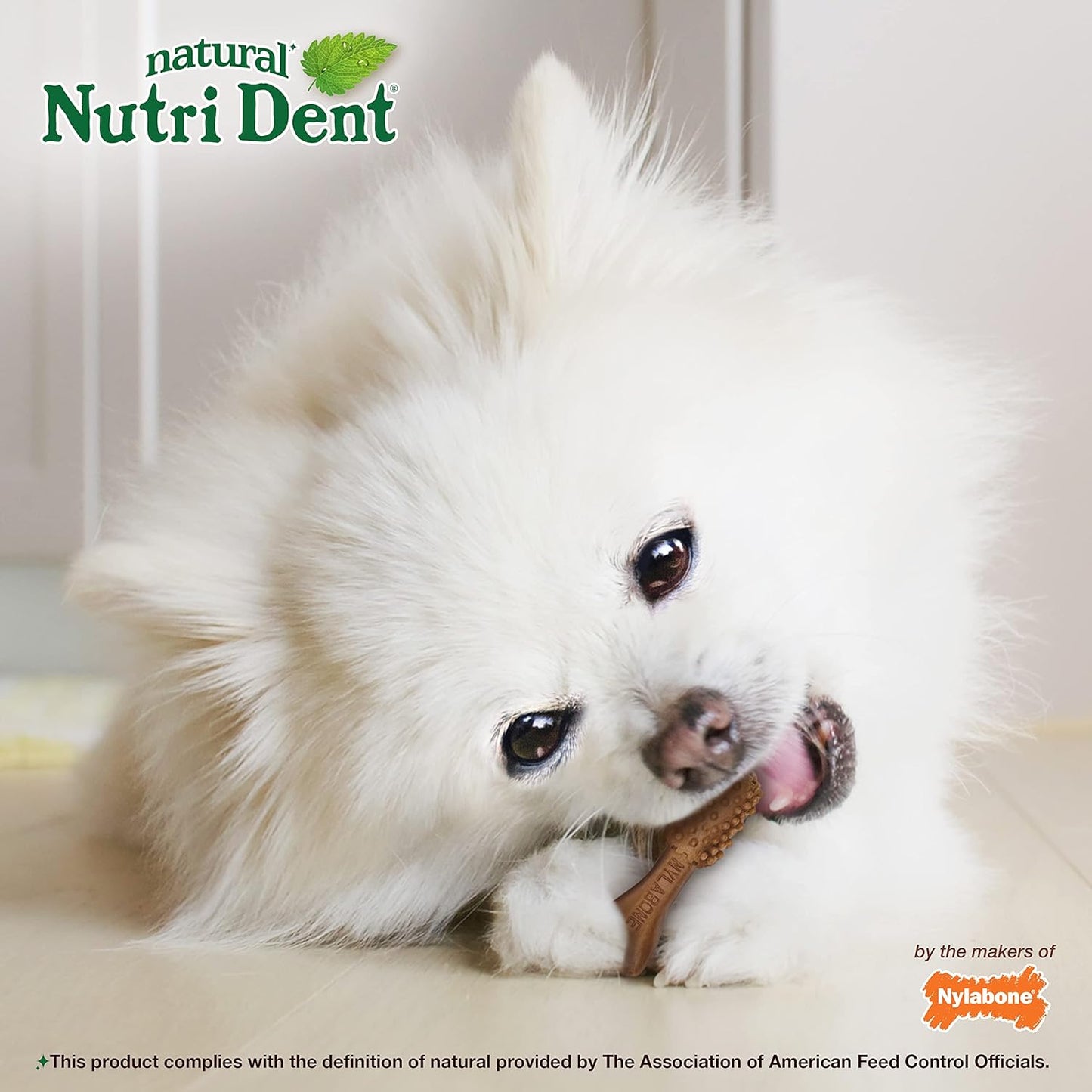 Nylabone Nutri Dent Dog Dental Chews - Natural Dog Teeth Cleaning & Breath Freshener - Dental Treats for Dogs - Filet Mignon Flavor, Mini (32 Count)
