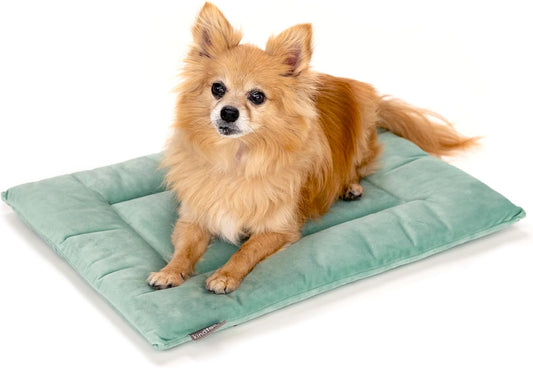 KindTail Dog Crate Pad - Soft Velvet, Reversible Bed - Machine Washable Kennel Mat for Pets up to 15 lbs, Mattress for Cozy Sleeping - 20” x 15” x 1” (Light Green, Small)
