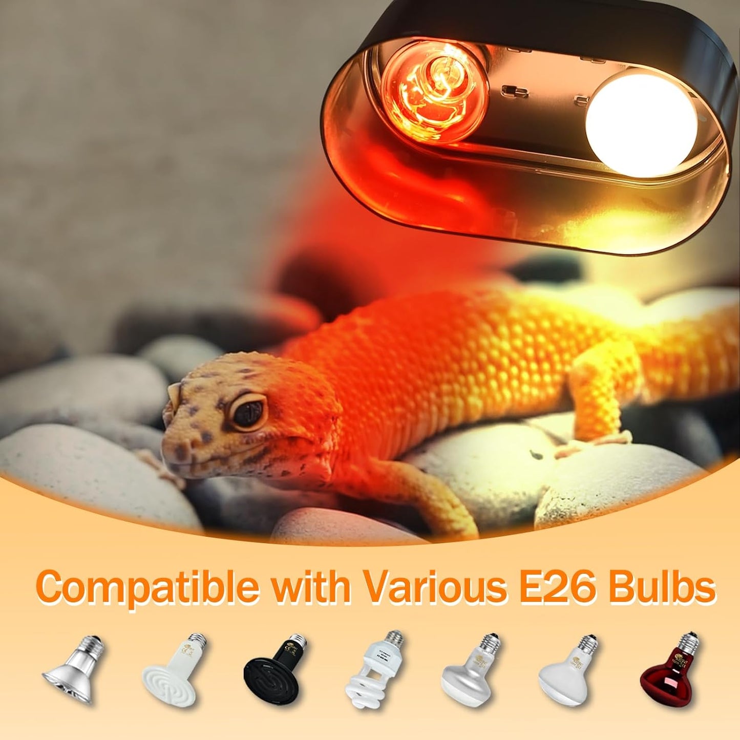 Dual Reptile Reflector Dome Lamp Fixture Cap with Separate Switches for Reptile & Amphibian Habitat Terrariums (Max 150W)