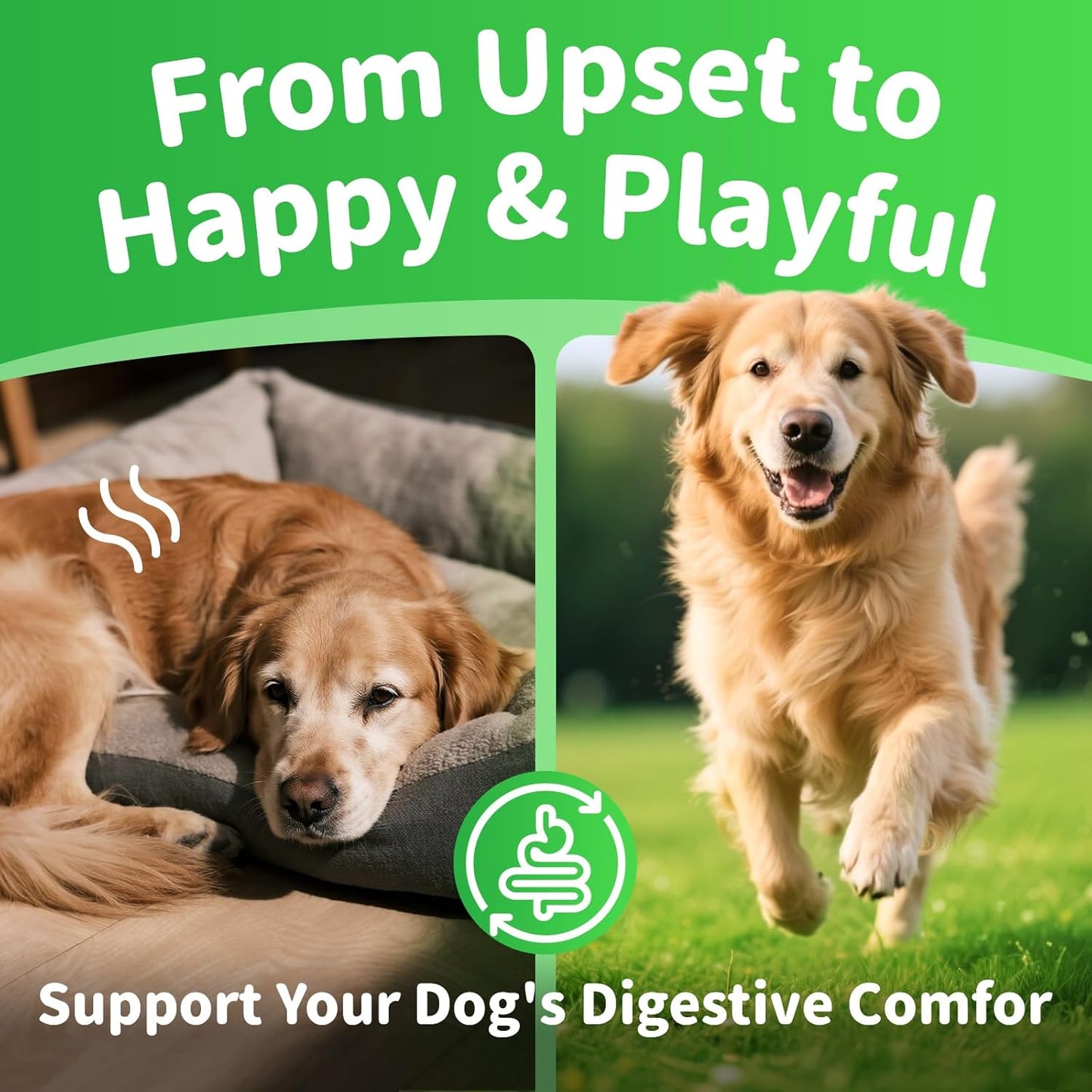 Dog Probiotics & Digestive Enzymes – Pumpkin Fiber Chews for Gut Health, Constipation& Upset Stomach Relief, Gas & Stool Support, Chicken Flavor Soft Chews – 90 Count